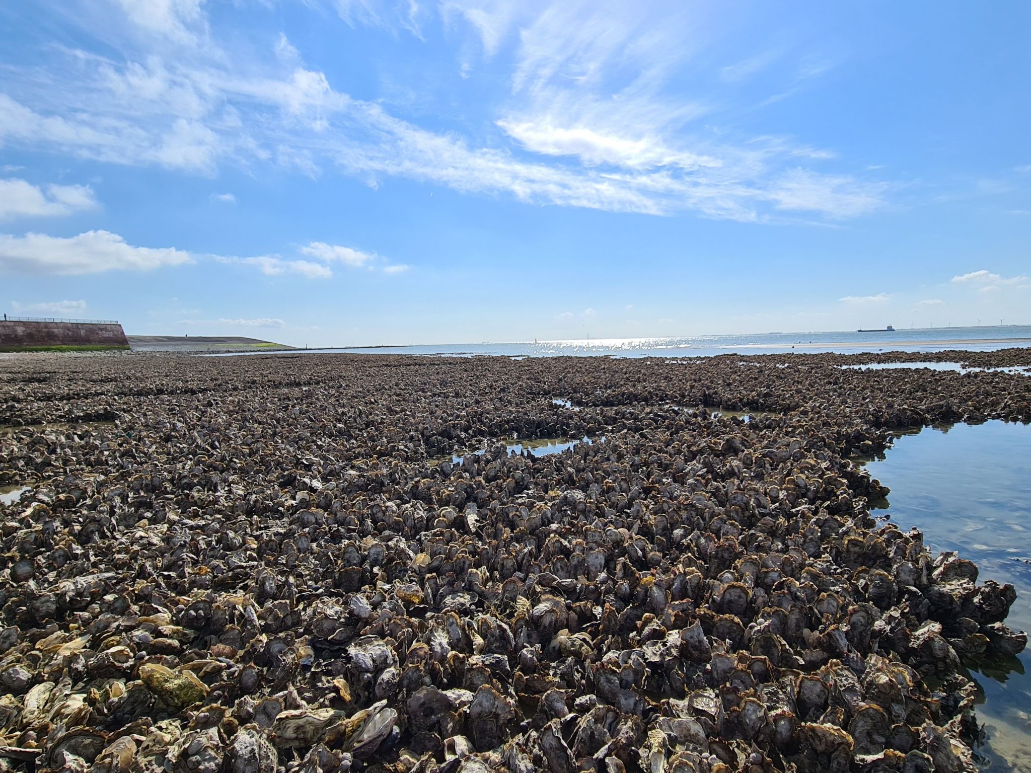 "Zeezicht" mit einzigartigem Meerblick-Binnen