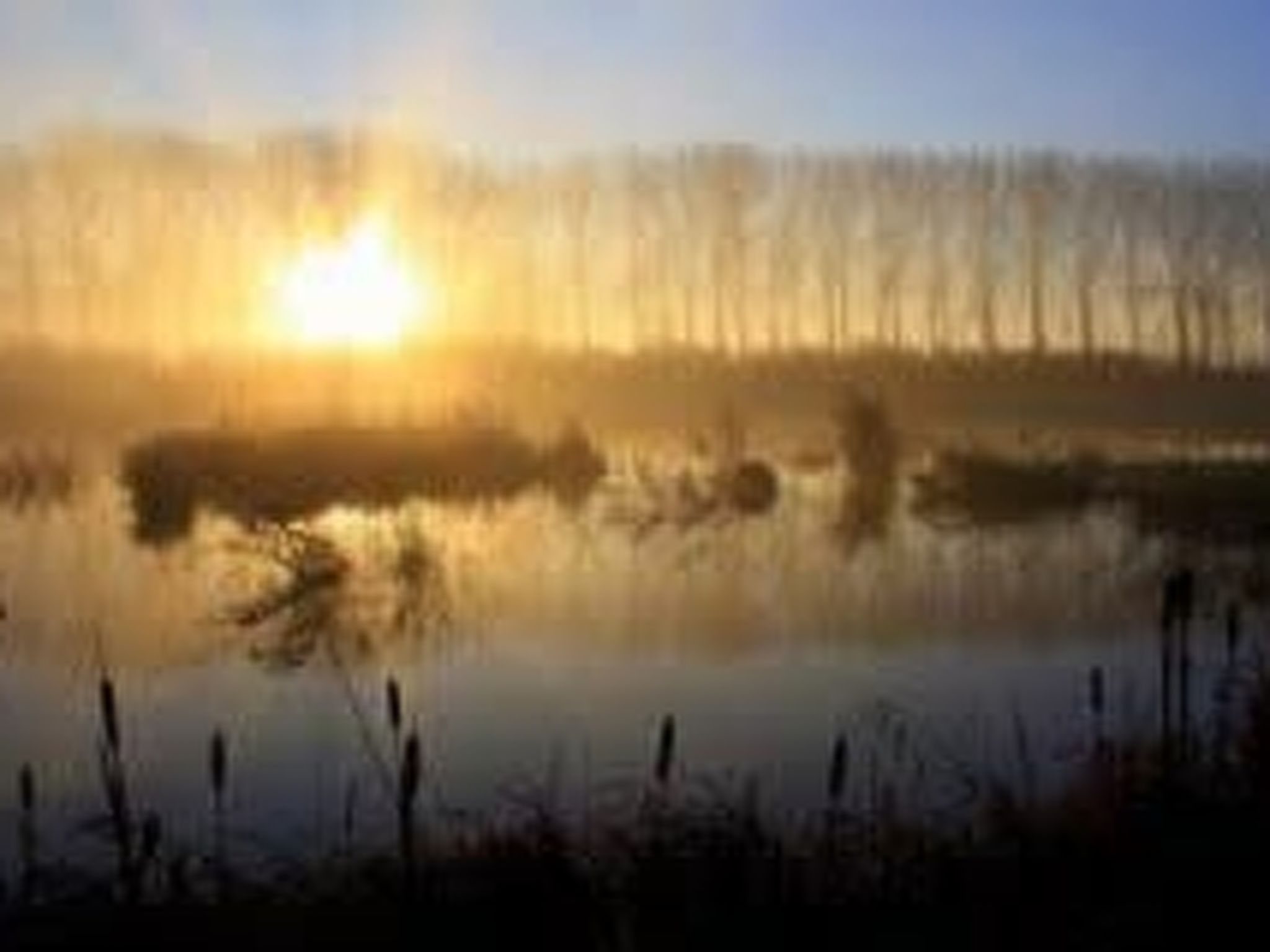 Wohnung met terras-Image-tags.info