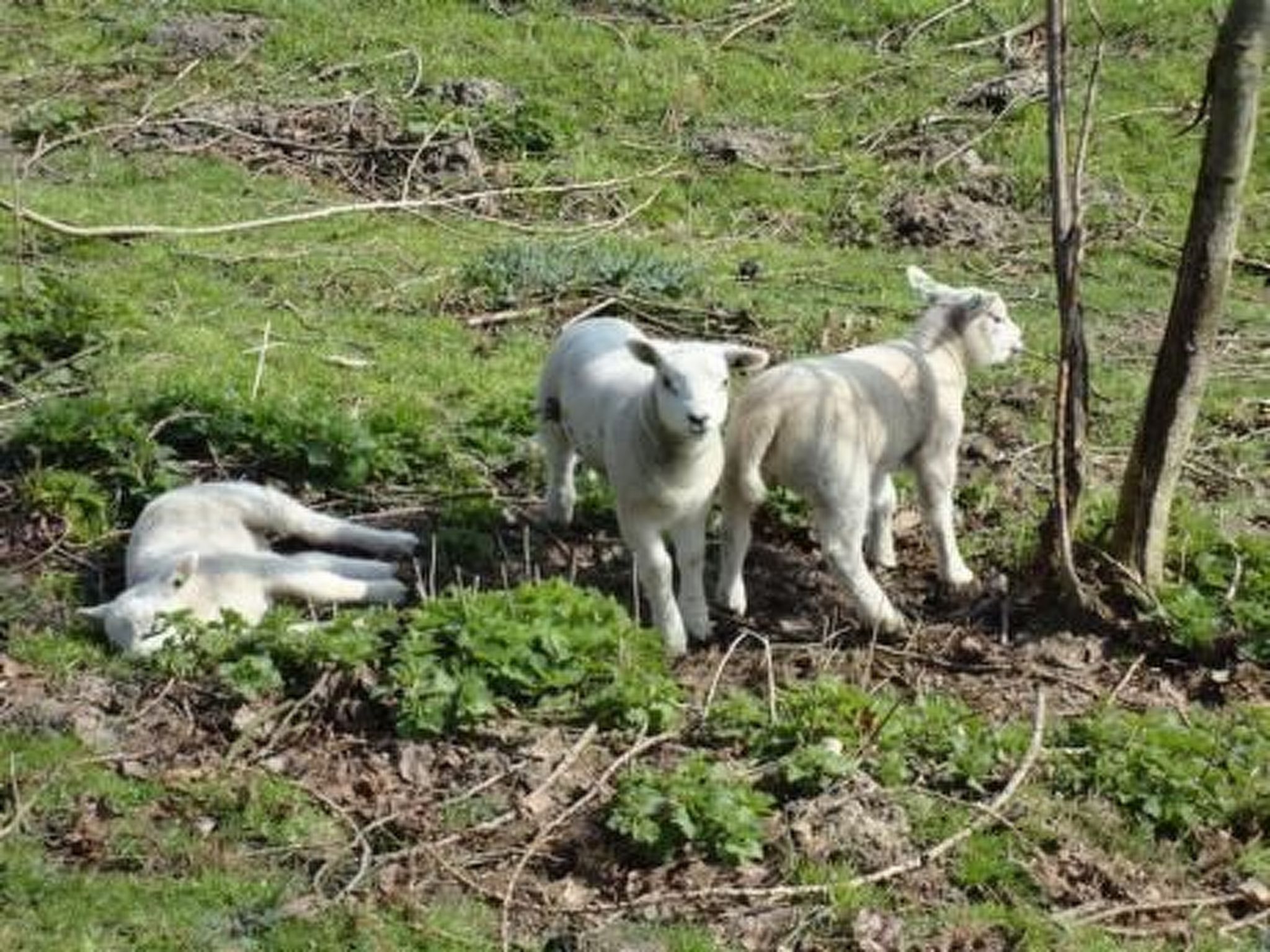Wohnung met terras-Draußen