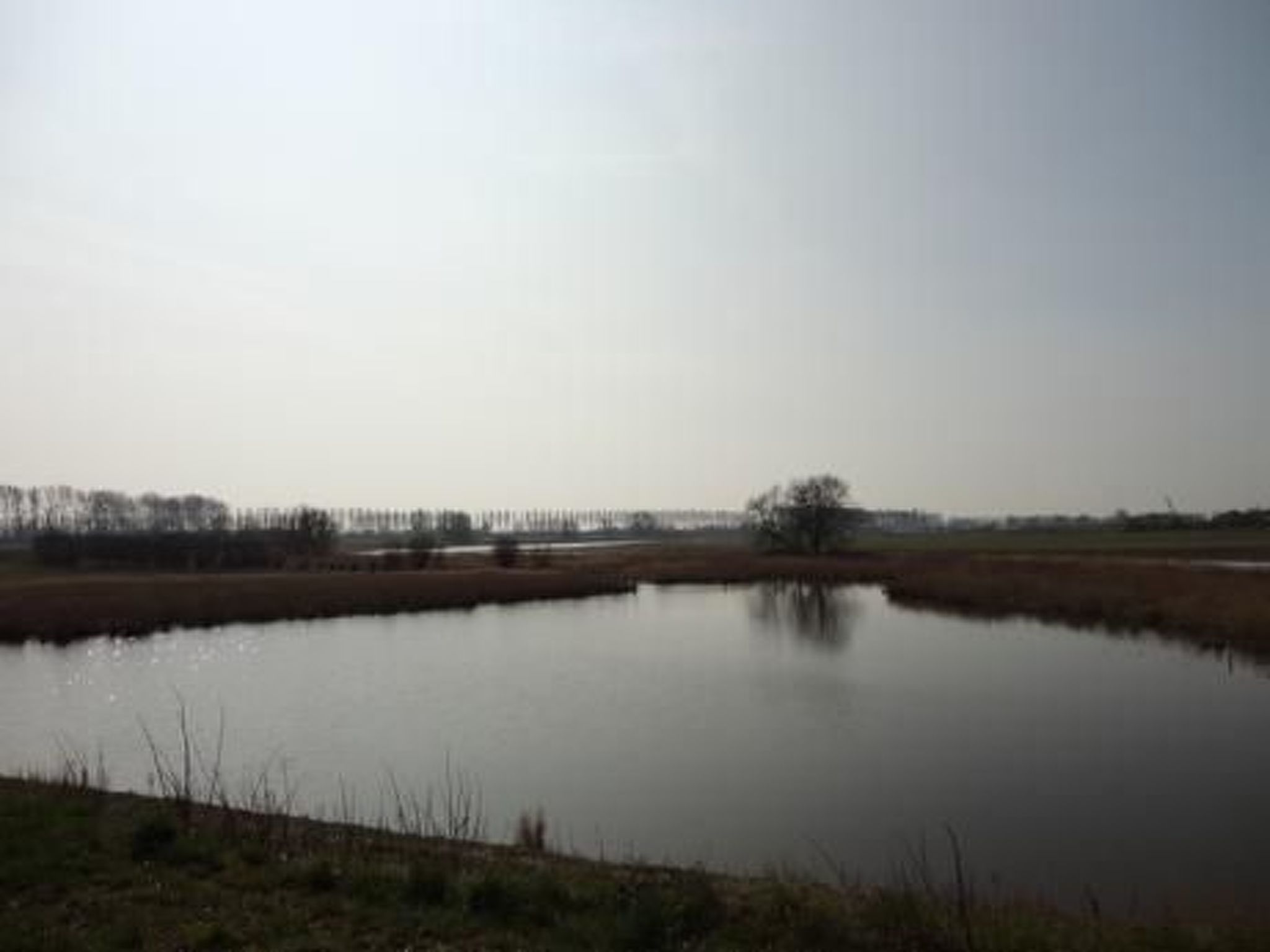 Wohnung met terras-Draußen