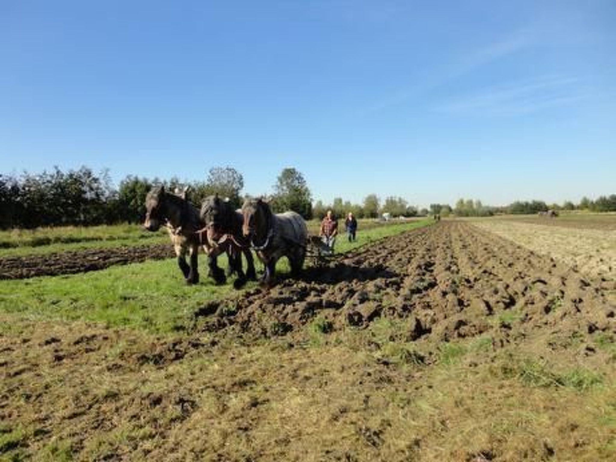 Wohnung met terras-Image-tags.info