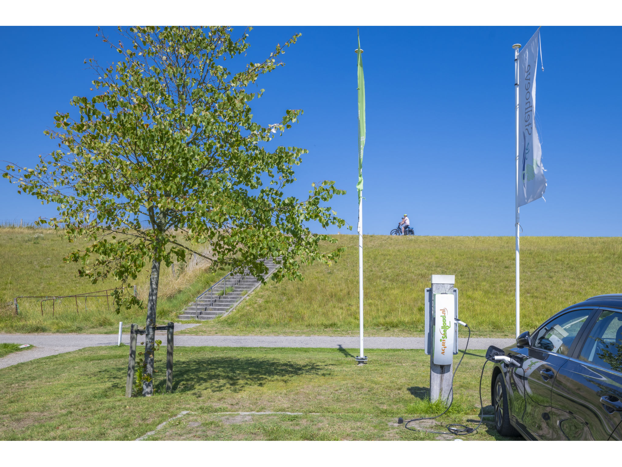 Ruisweg 73-Image-tags.info