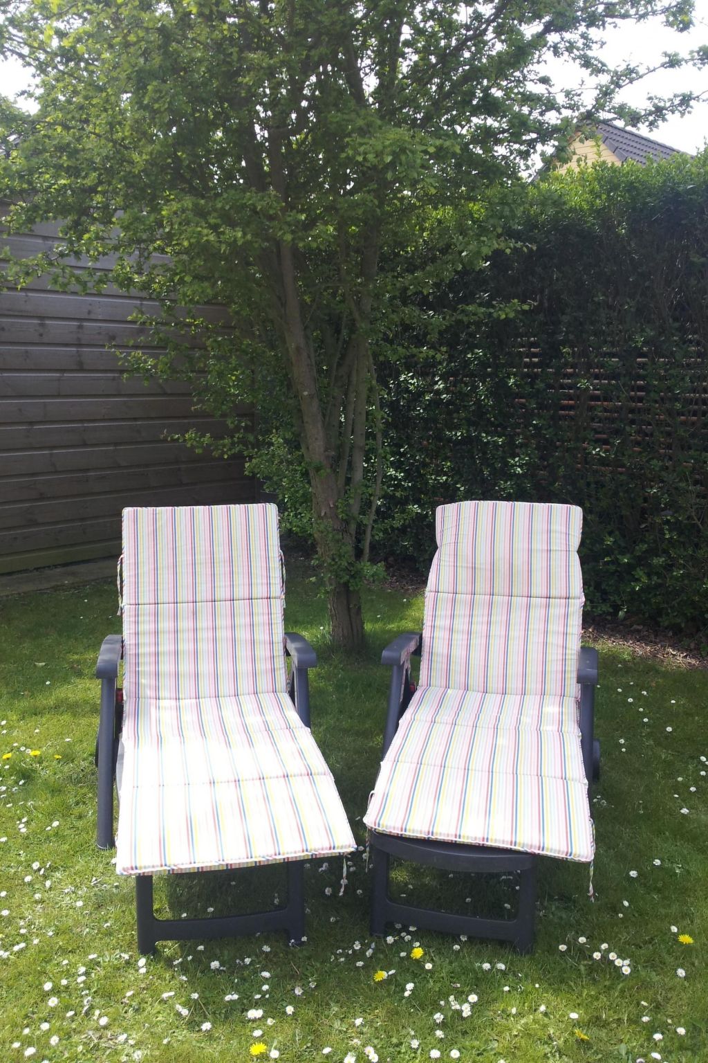 Gemütliches Haus mit komplett umzäuntem Garten-Binnen