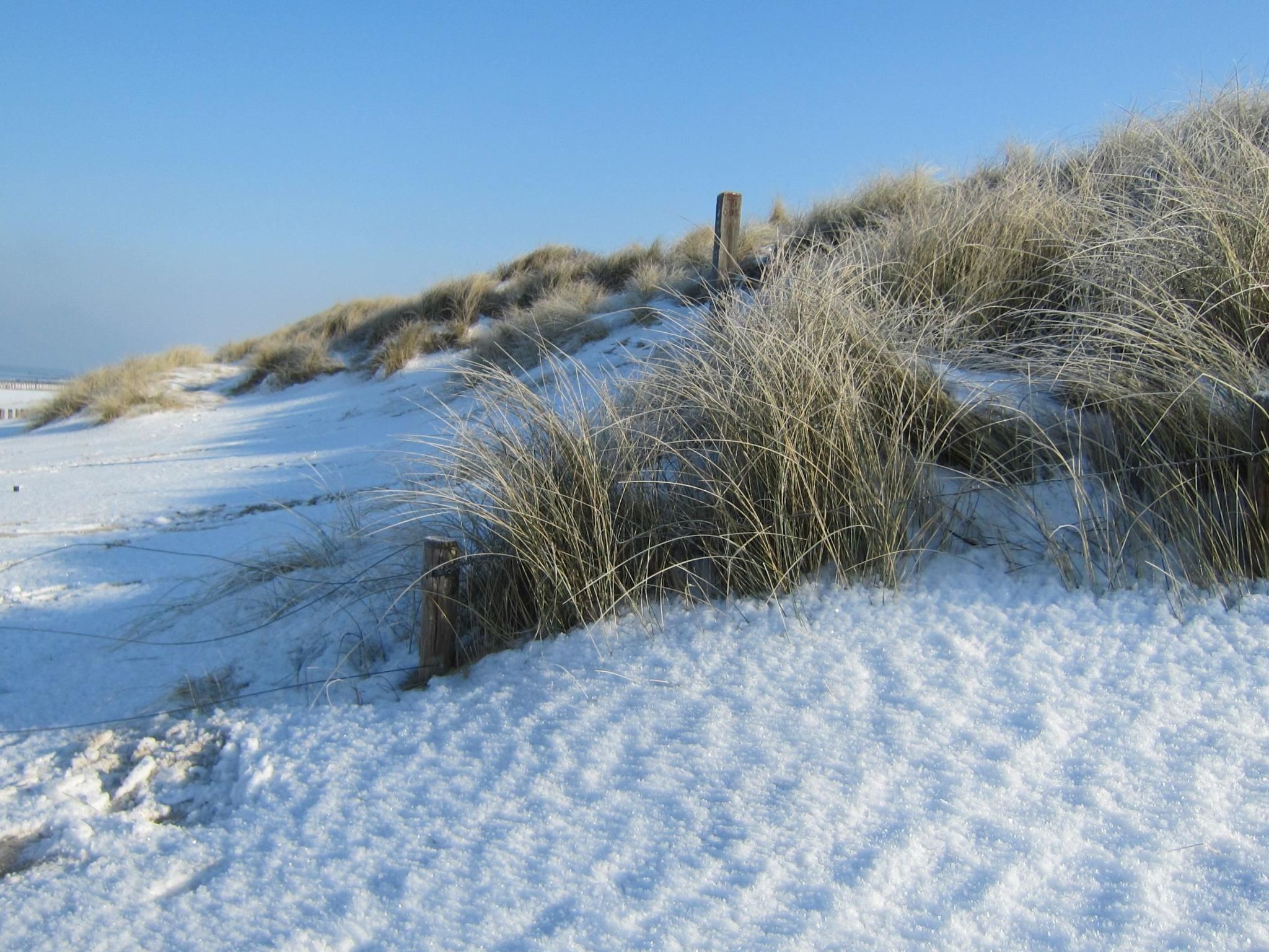 Gemütliches Haus mit komplett umzäuntem Garten-Binnen