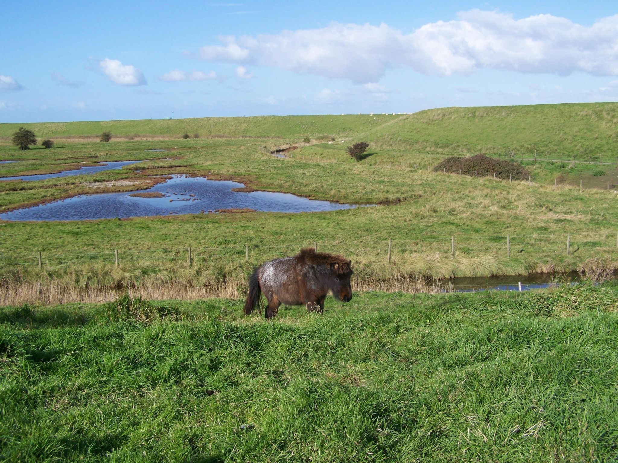 Gemütliches Haus mit komplett umzäuntem Garten-Binnen