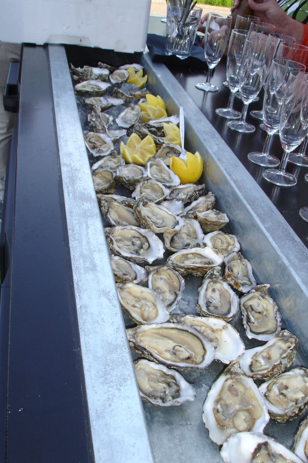 Familienfreundliches Ferienhaus in Zeeland-Image-tags.info