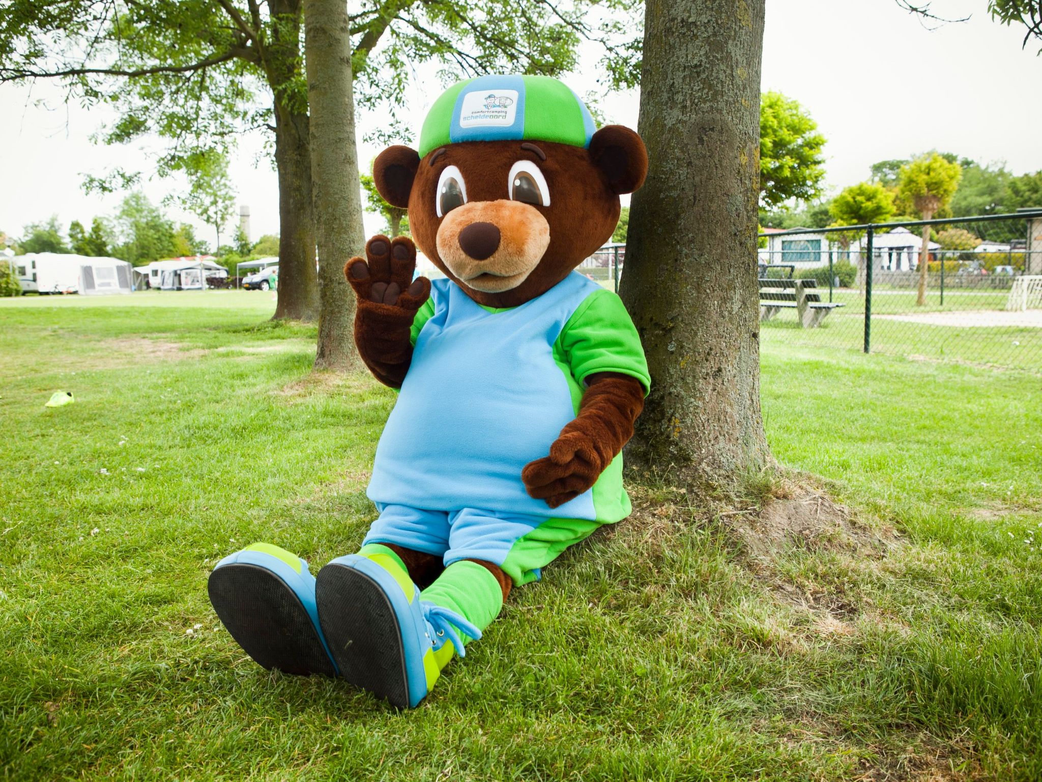 Mobilheim Budget 6p auf dem Campingplatz Scheldeoord-Image-tags.info