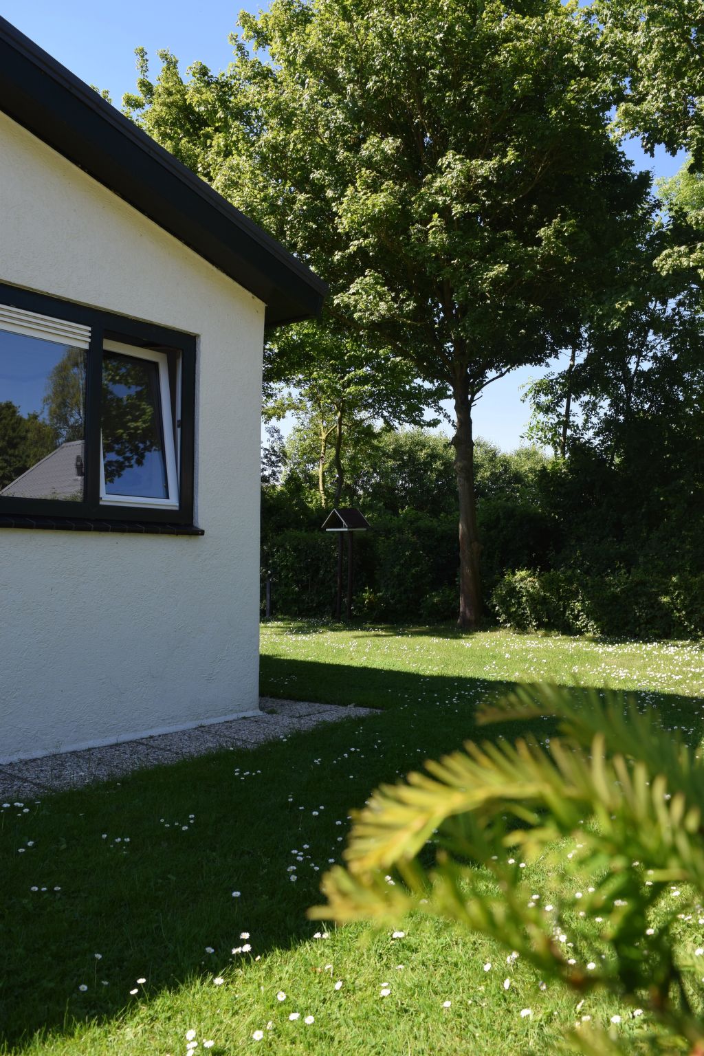 Kleines Haus mit Garten, direkt hinter dem Deich-Drinnen