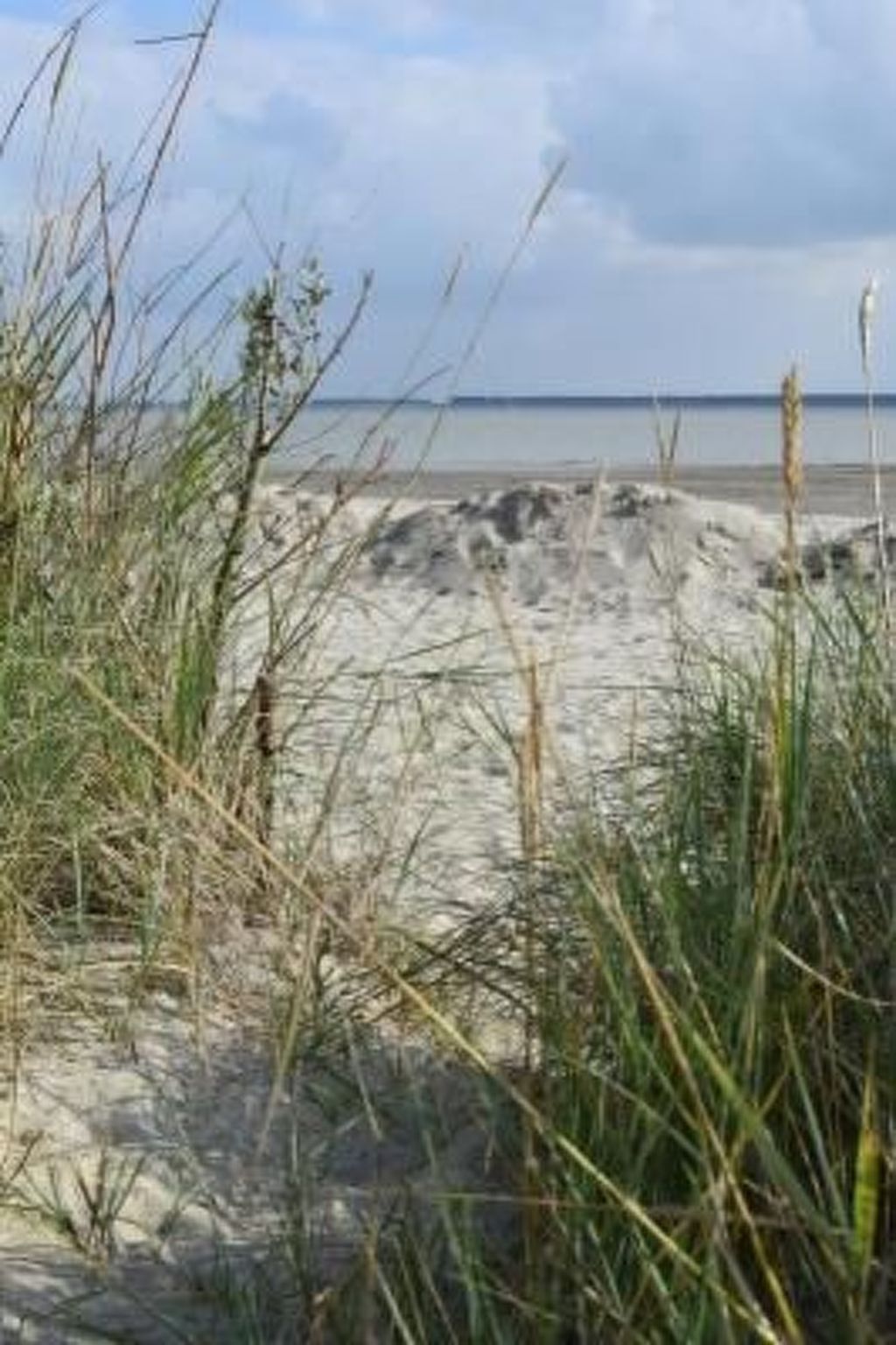 Kleines Haus mit Garten, direkt hinter dem Deich-Drinnen