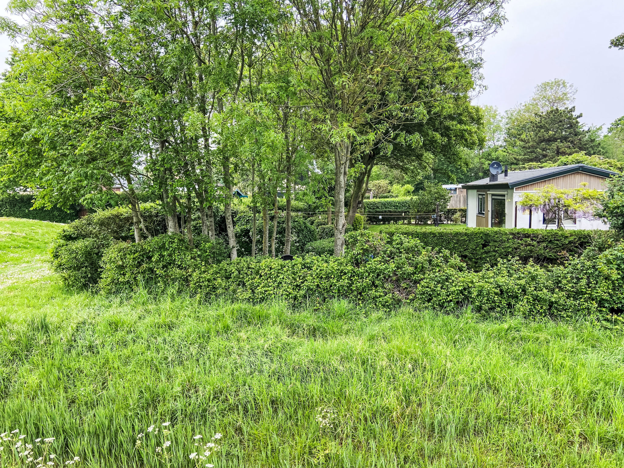 Kleines Haus mit Garten, direkt hinter dem Deich