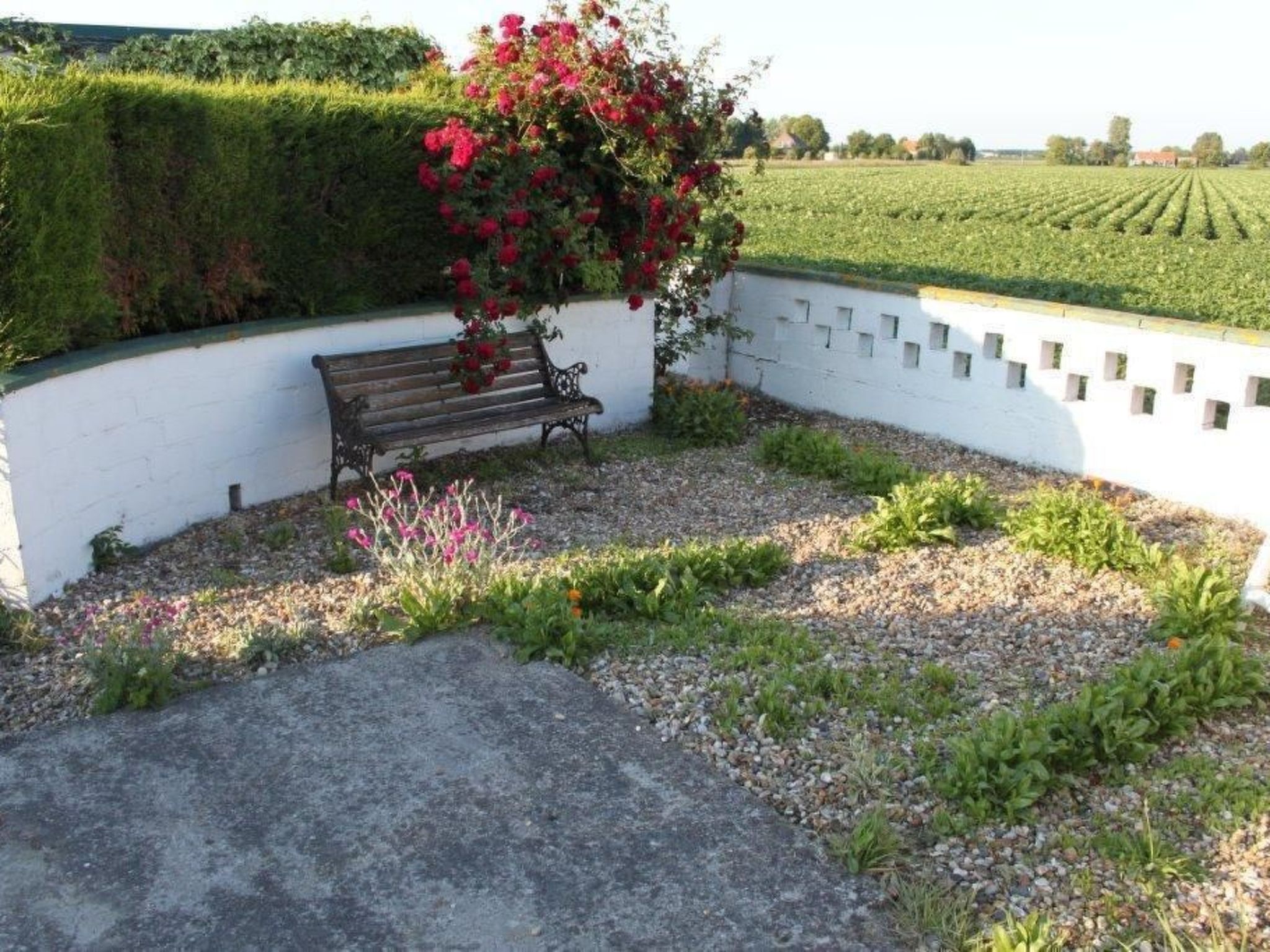 Altes Deichbauernhaus mit Garten-Outside