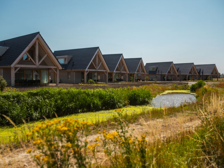 "Duinvilla 8", villa 5-kamers. Comfortabel ingericht: woon-/eetkamer met eettafel en TV. Uitgang naar het terras. 1 kamer met 1 2-pers bed. Open keuken (oven, afwasmachine, 1 inductiekookplaten, water..