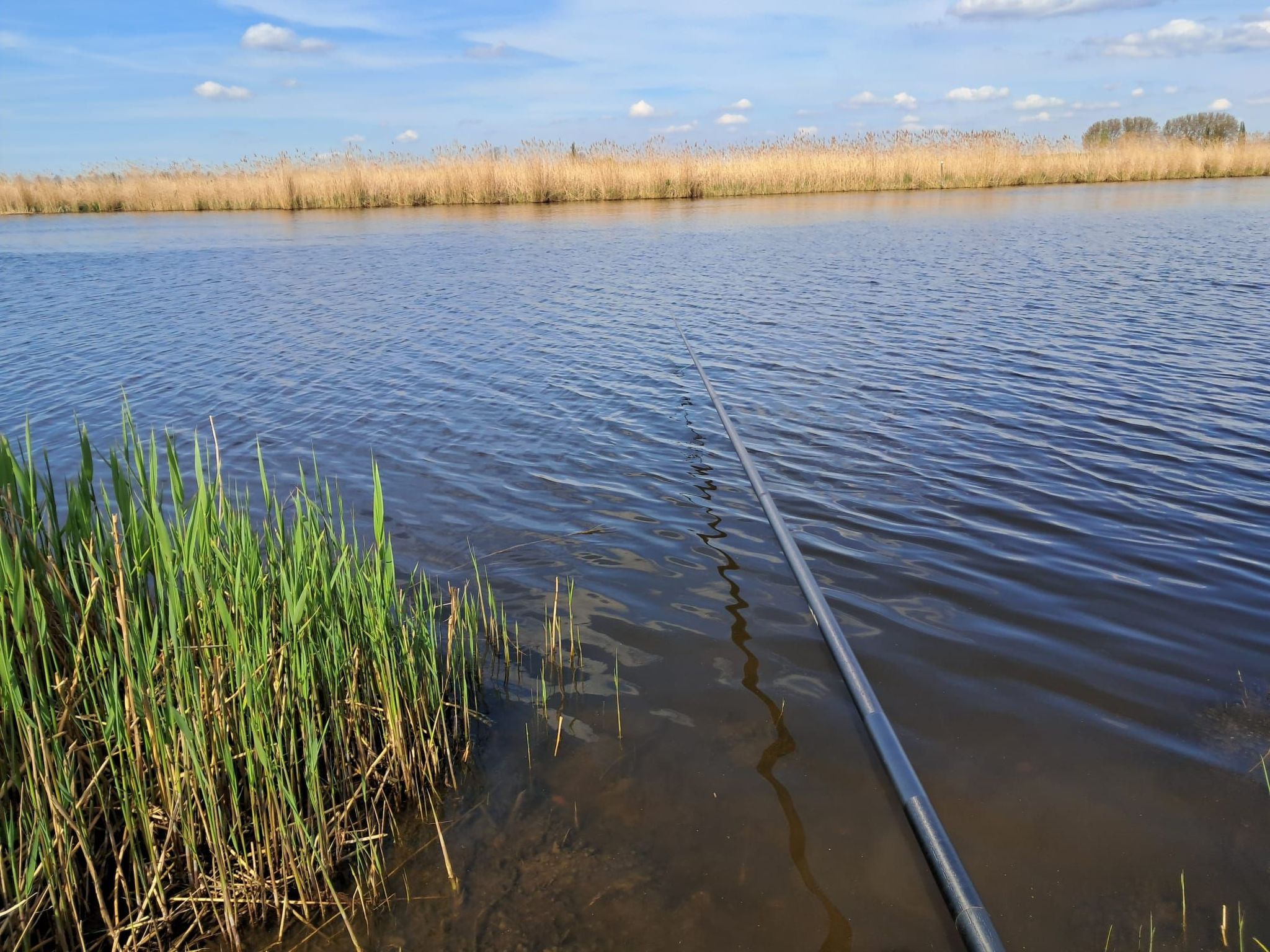 Ferienchalet an der Grenze zwischen Brabant und Zeeland-Drinnen