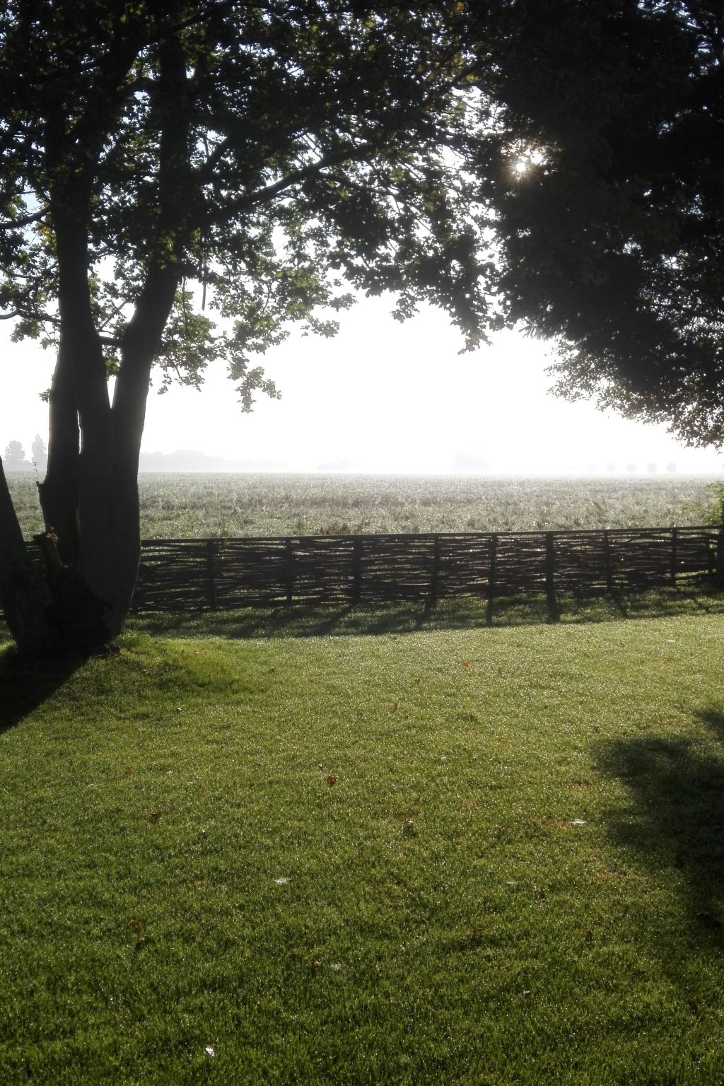 Neuer schöner Bungalow