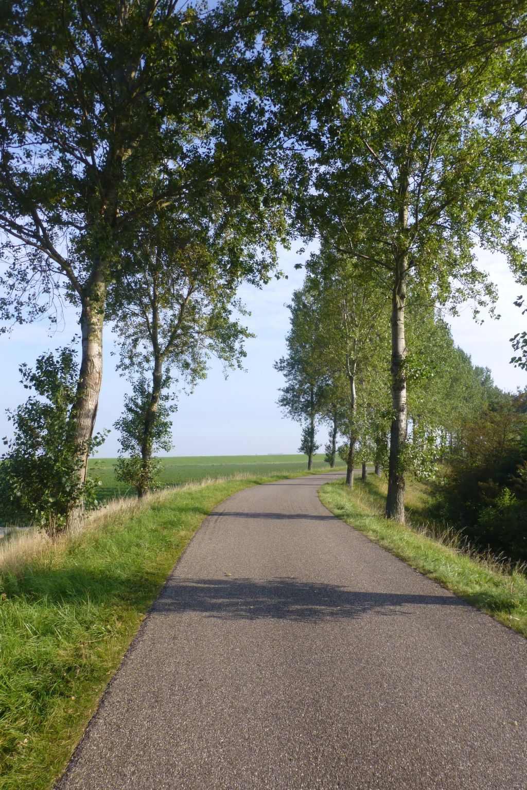 Neuer schöner Bungalow-Dedans