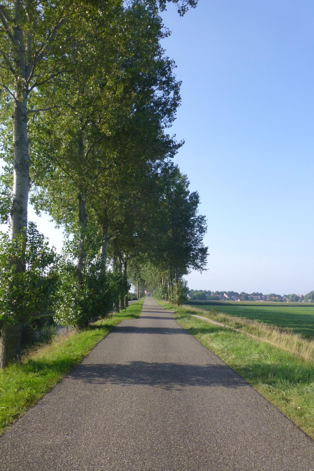 Neuer schöner Bungalow-Dedans