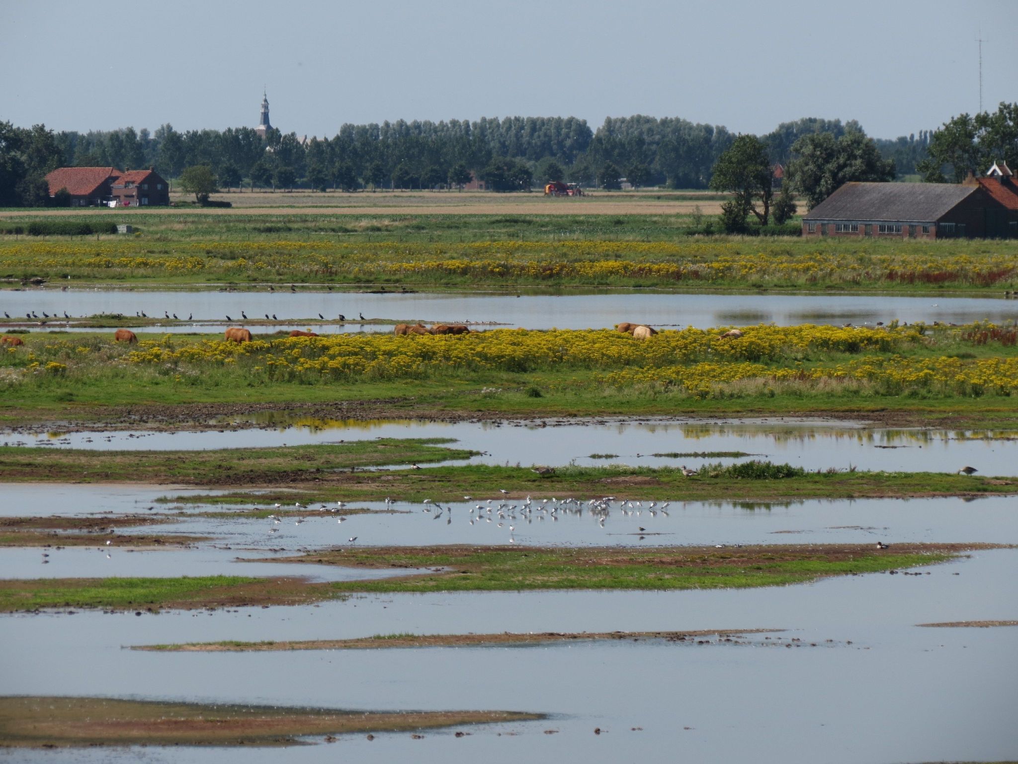 Neuer schöner Bungalow-Dedans