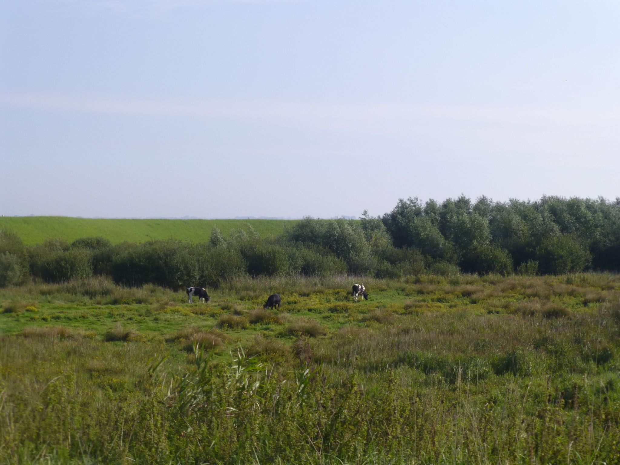 Neuer schöner Bungalow-Dedans