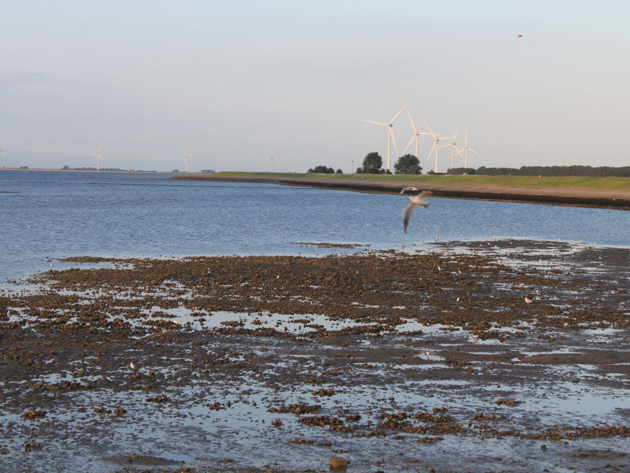 Mit Garten, Grill und Terrasse-Drinnen