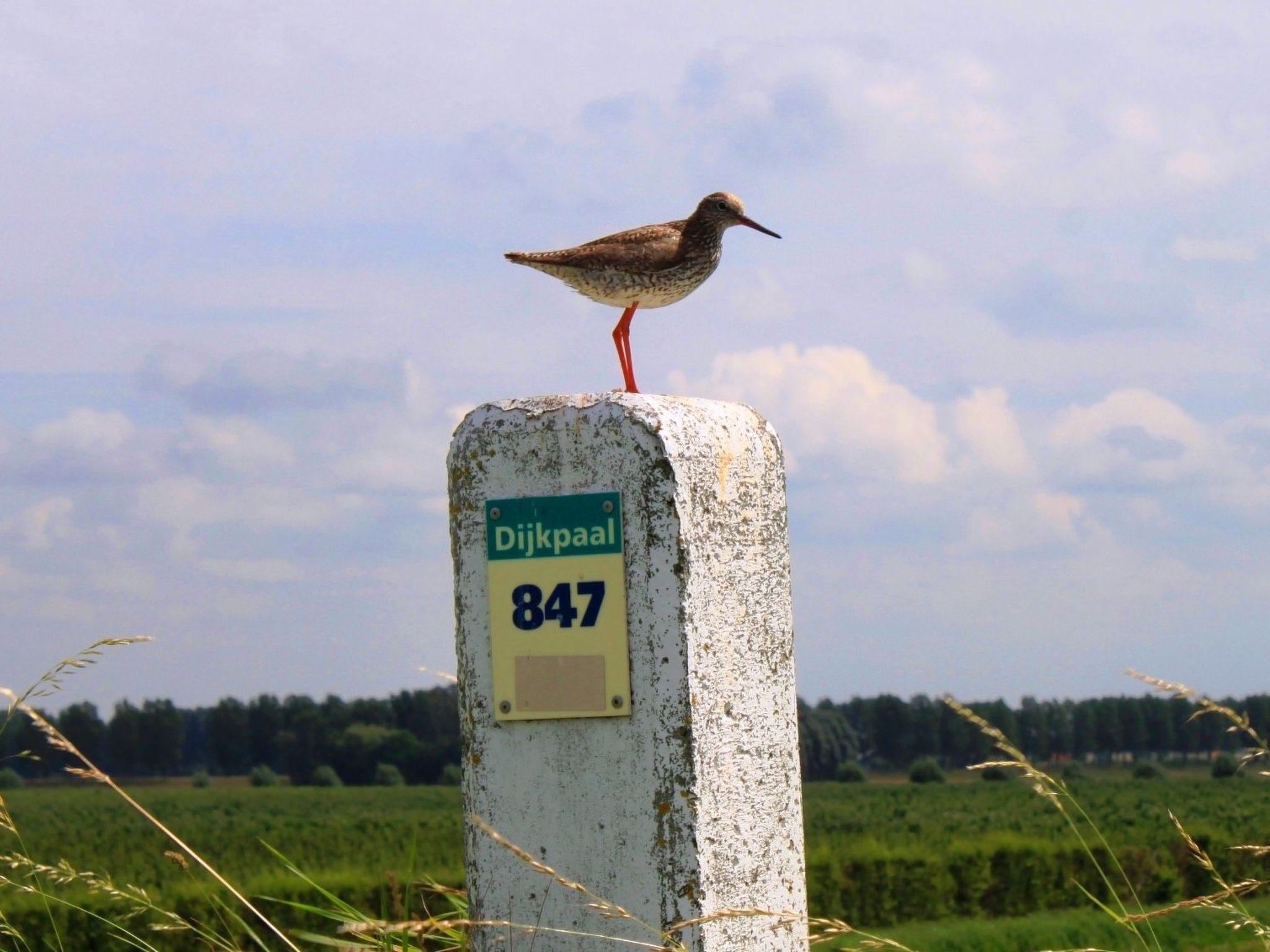 Mit Garten, Grill und Terrasse-Drinnen