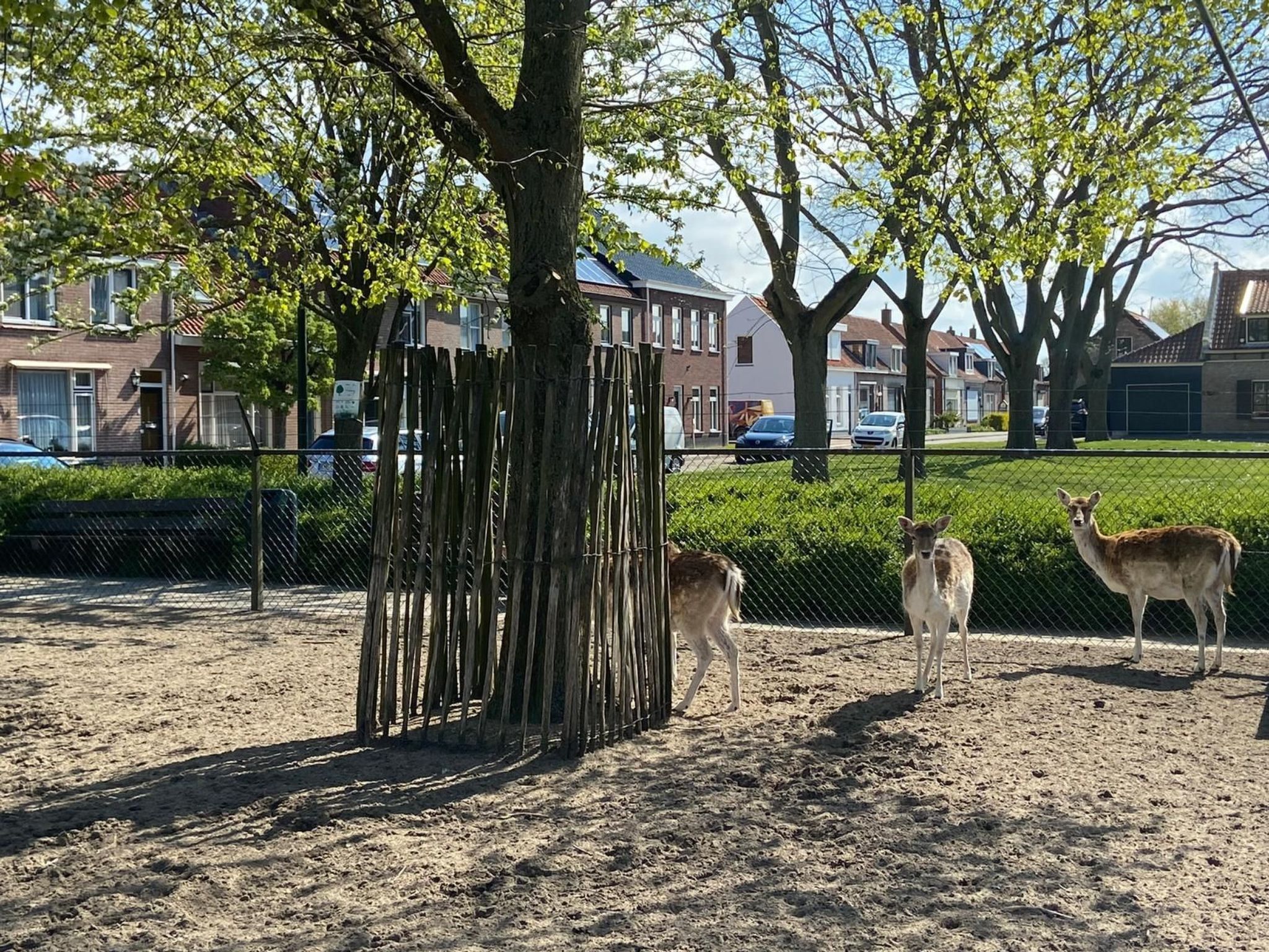 Mit privatem Garten und Terrasse-Drinnen