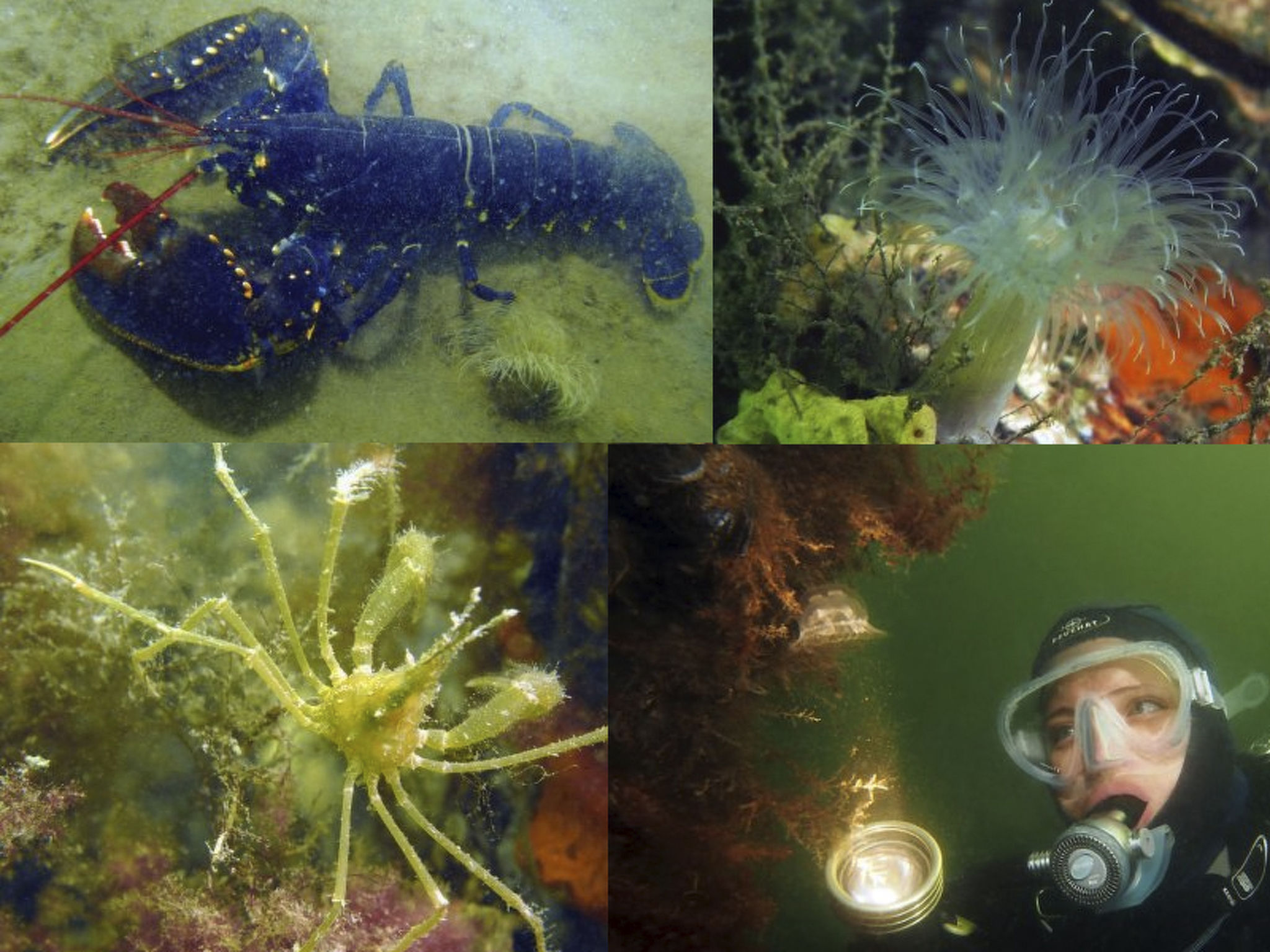 "Buurtweg213" mit Schwimmbad-Drinnen