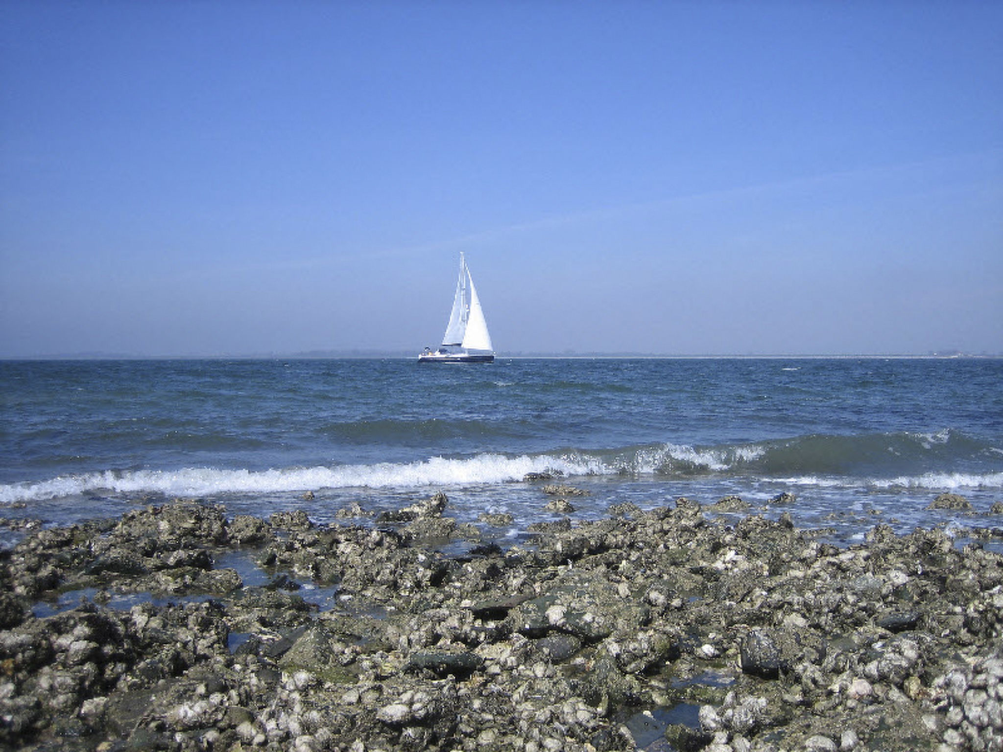 Am Meer in Zeeland