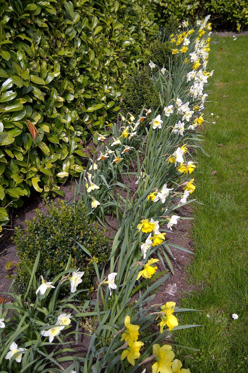 Mit privatem Garten und Grill-Binnen