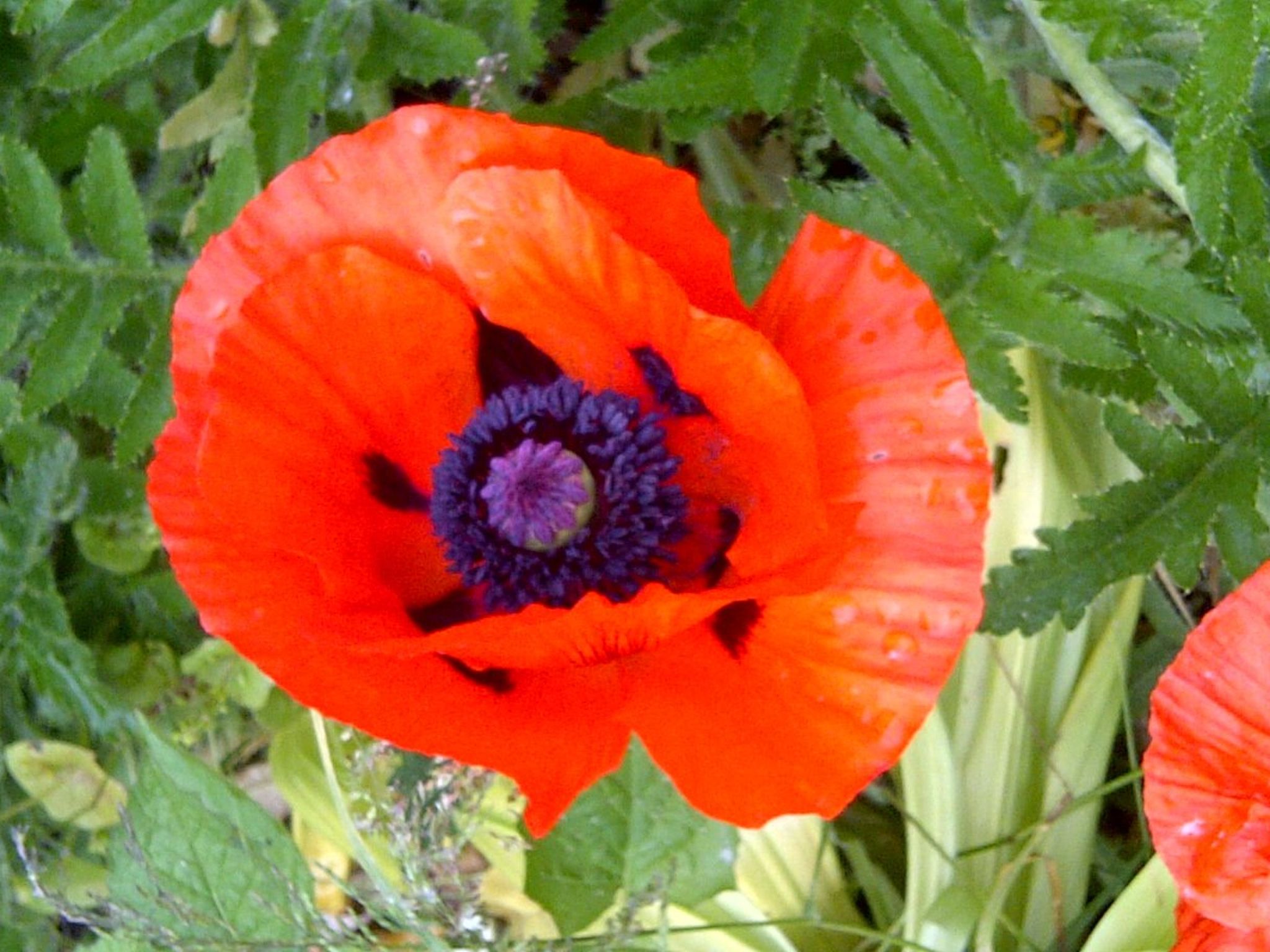 Doppelhaushälfte für sechs Personen in einem Ferienpark in der Nähe von Staveni-Dedans