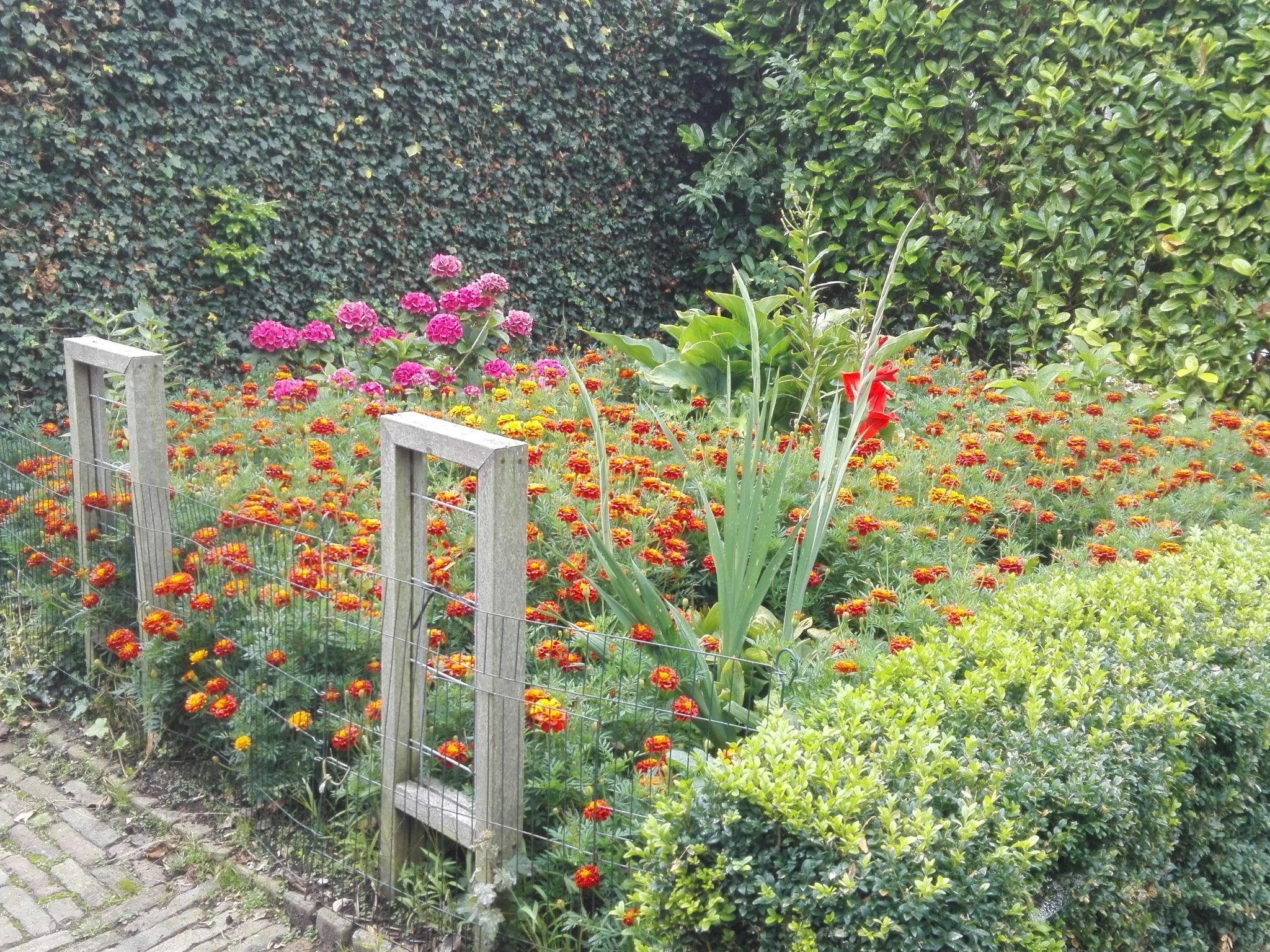 Zweifamilienhaus für sechs Personen-Dedans