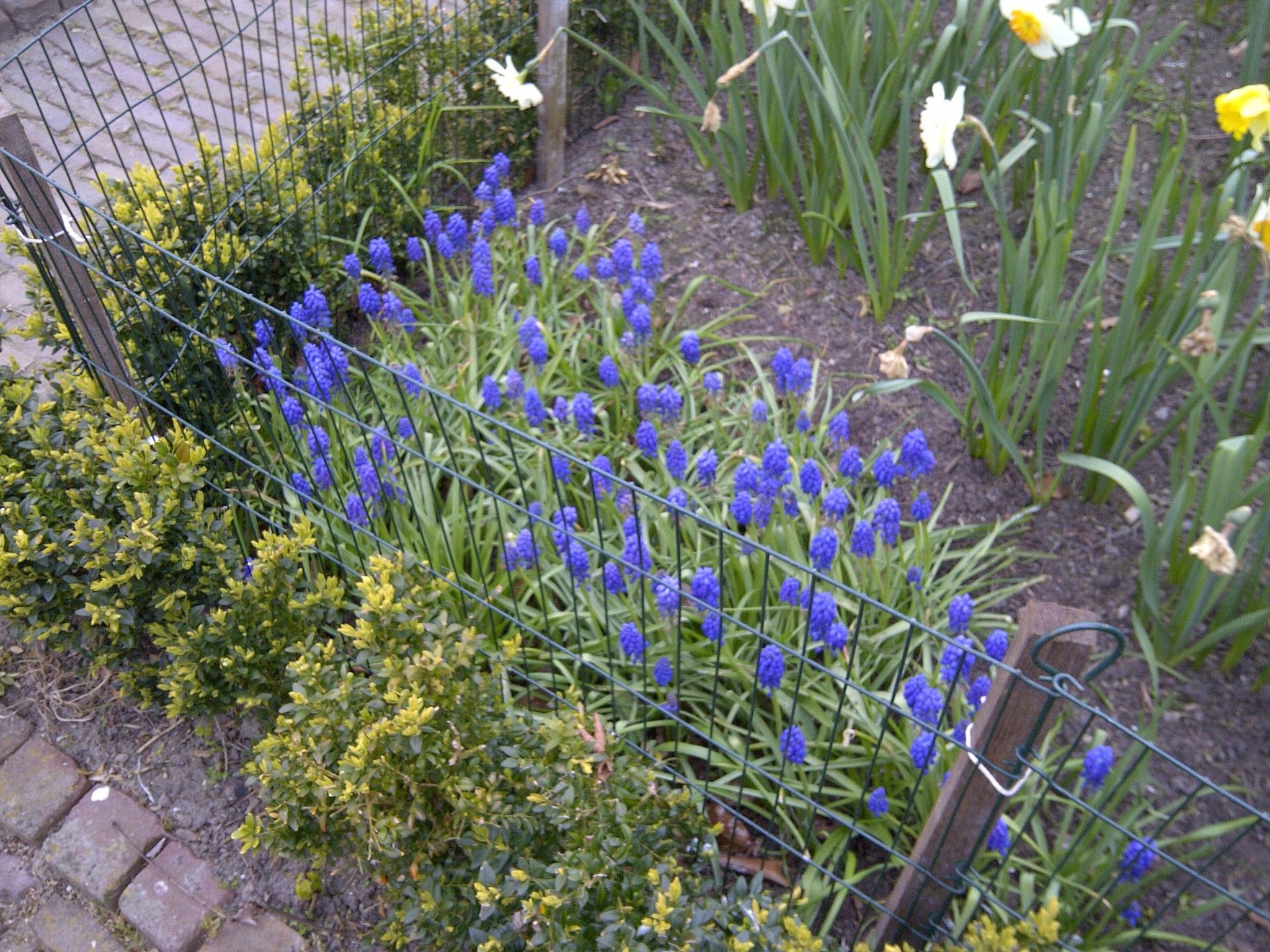 Zweifamilienhaus für sechs Personen-Dedans