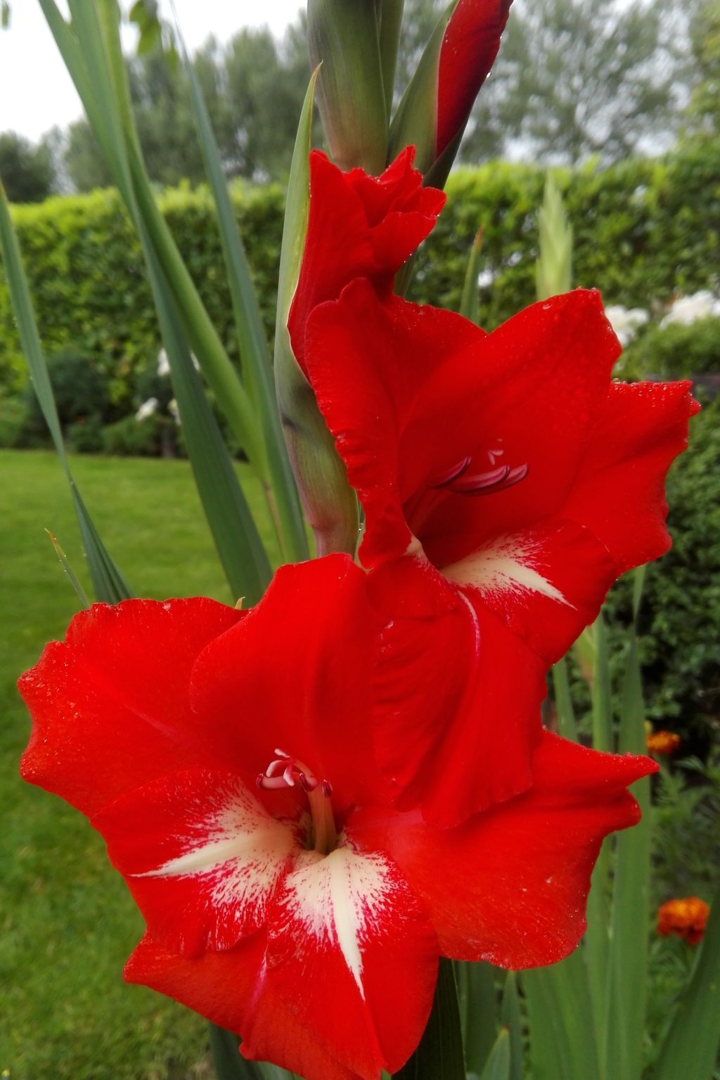 Zweifamilienhaus für sechs Personen-Dedans