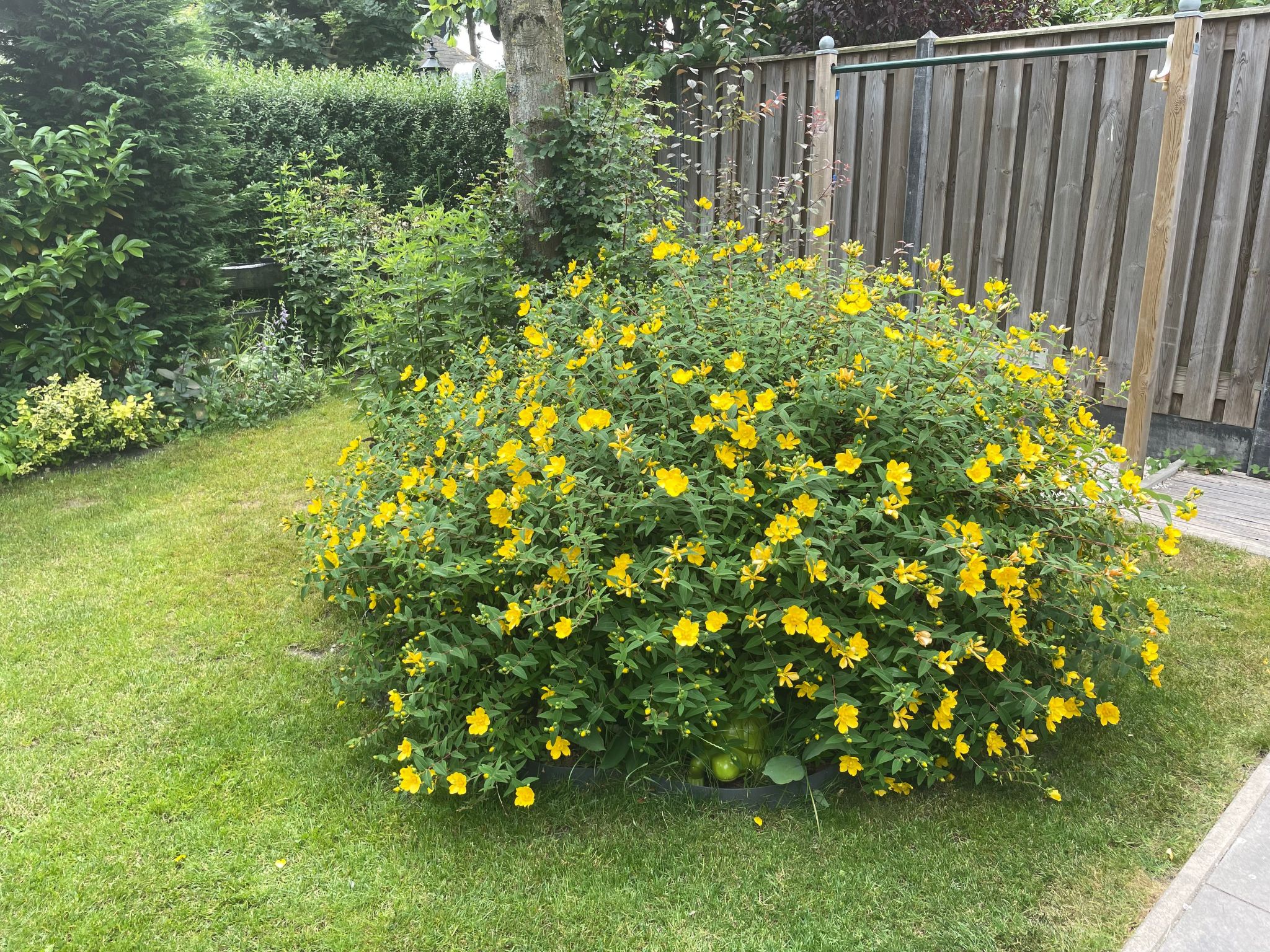 Reefhouse 47, wo es noch Platz für Ruhe gibt-Dedans