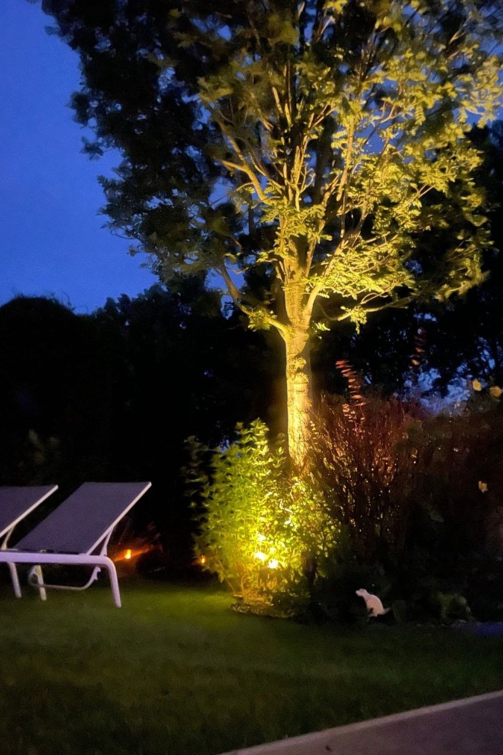 Reefhouse 47, wo es noch Platz für Ruhe gibt-Dedans