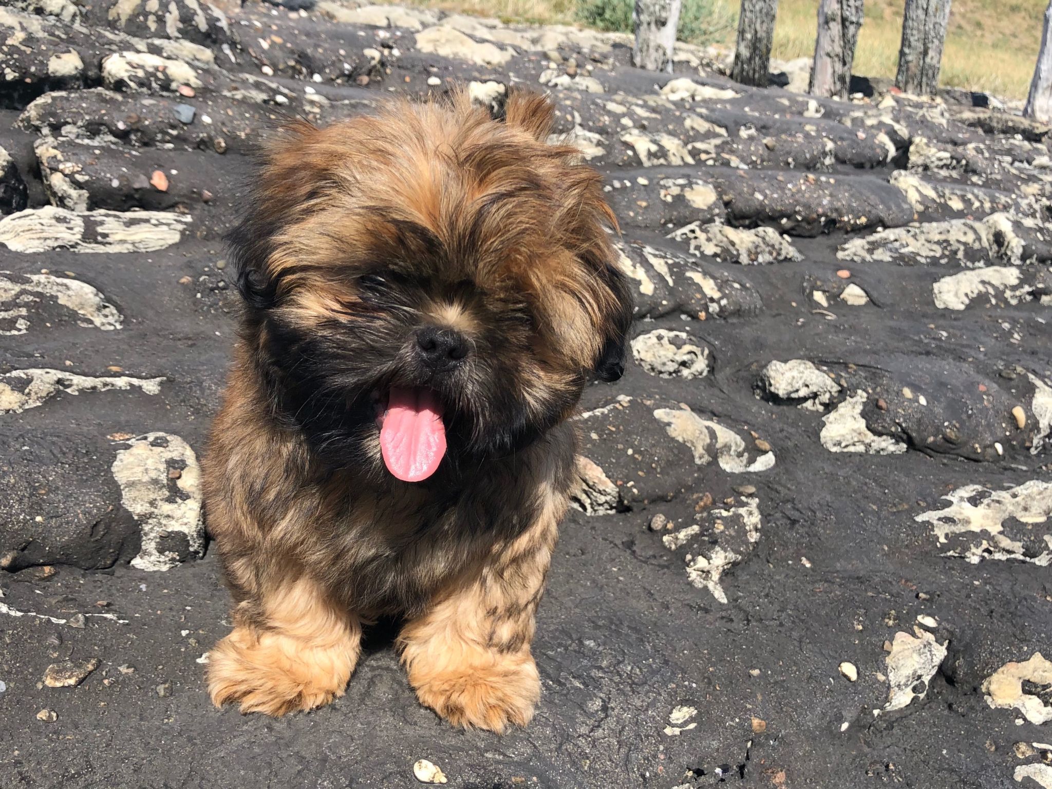 Reefhouse 47, wo es noch Platz für Ruhe gibt-Dedans