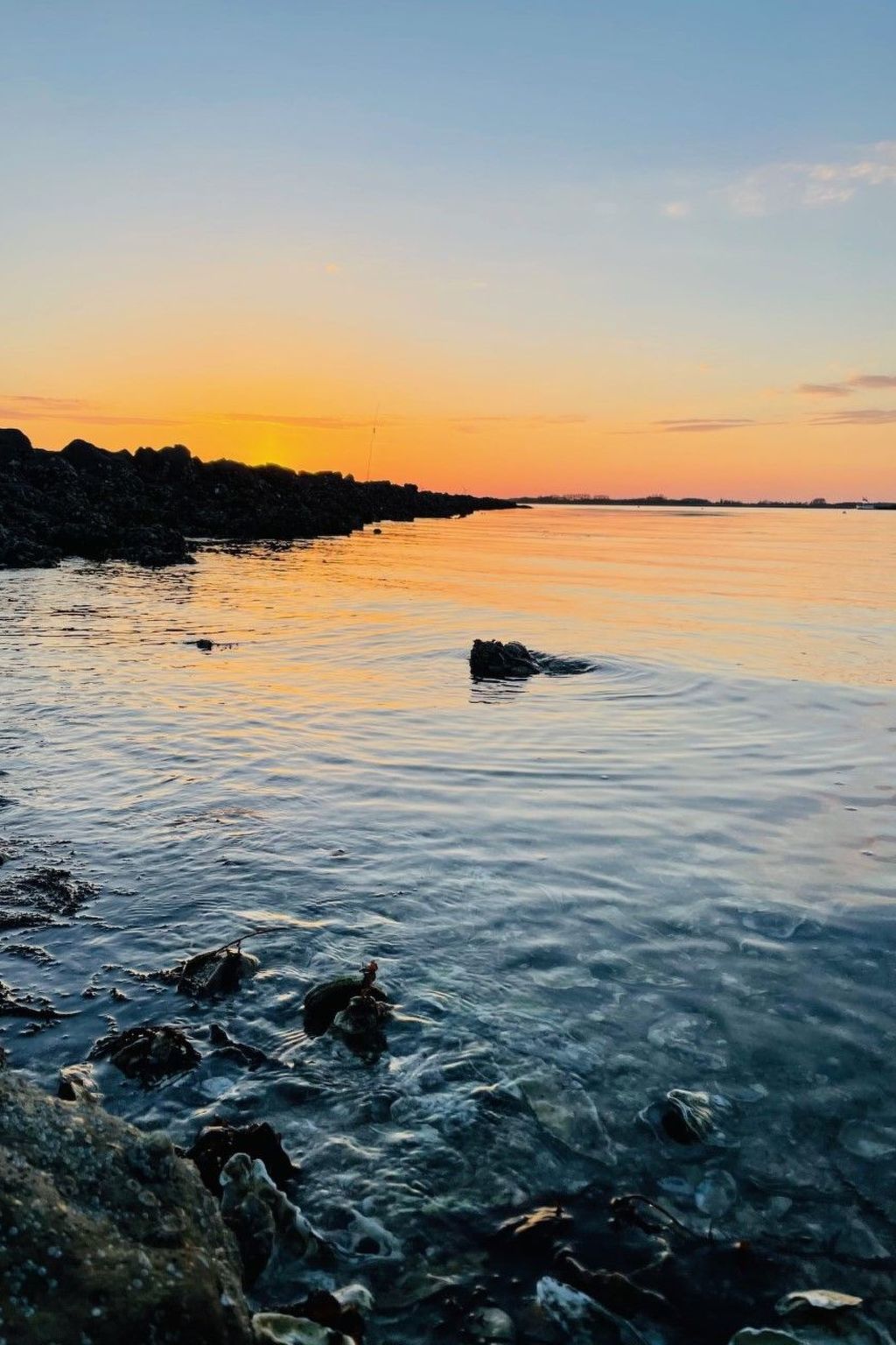 Reefhouse 47, wo es noch Platz für Ruhe gibt-Dedans