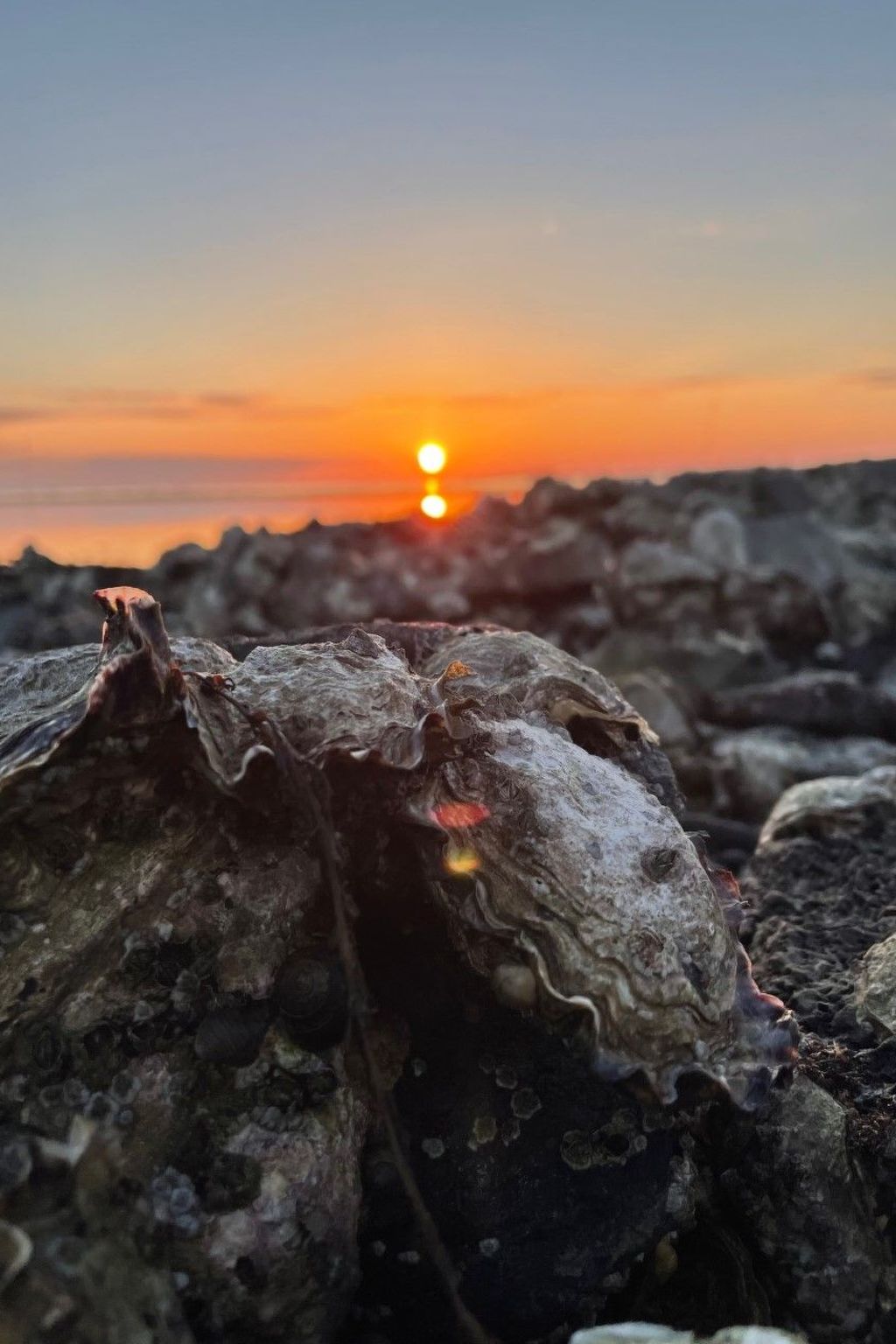 Reefhouse 57, wo es noch Raum für Ruhe gibt-Binnen