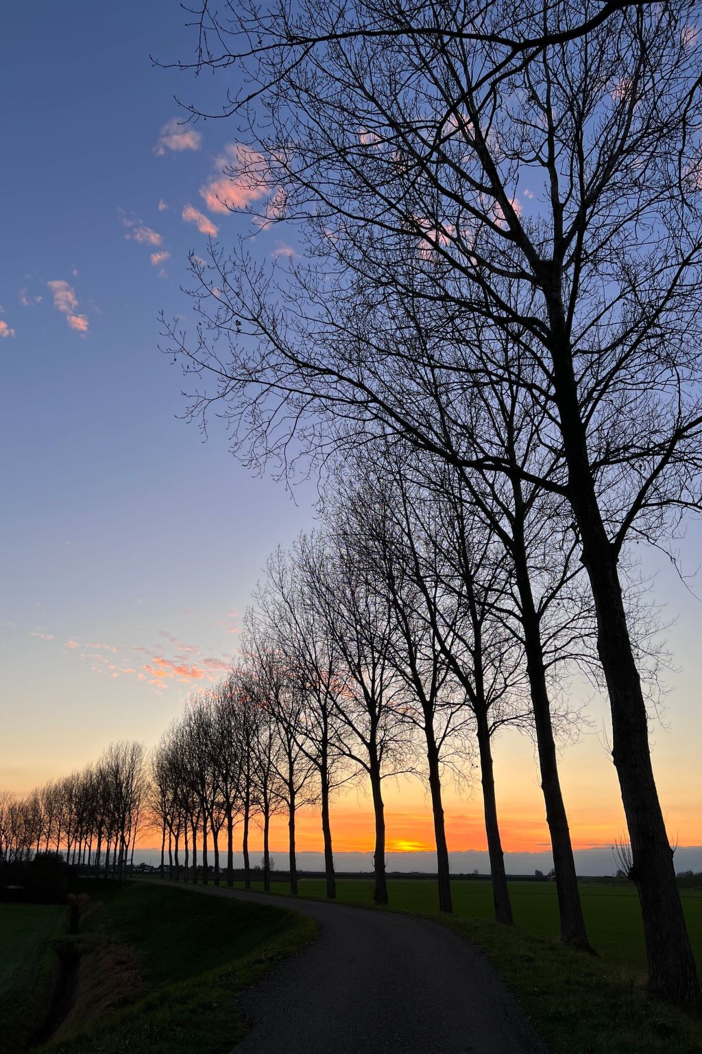 In Stavenisse mit gemütlicher Terrasse-Dedans