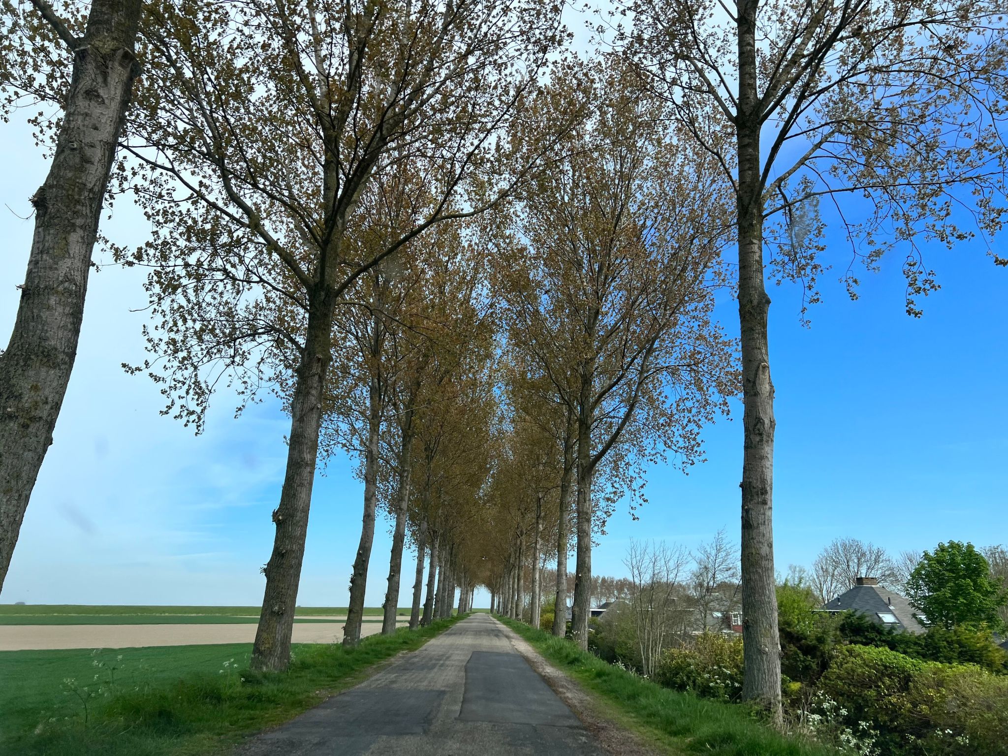 In Stavenisse mit gemütlicher Terrasse-Dedans