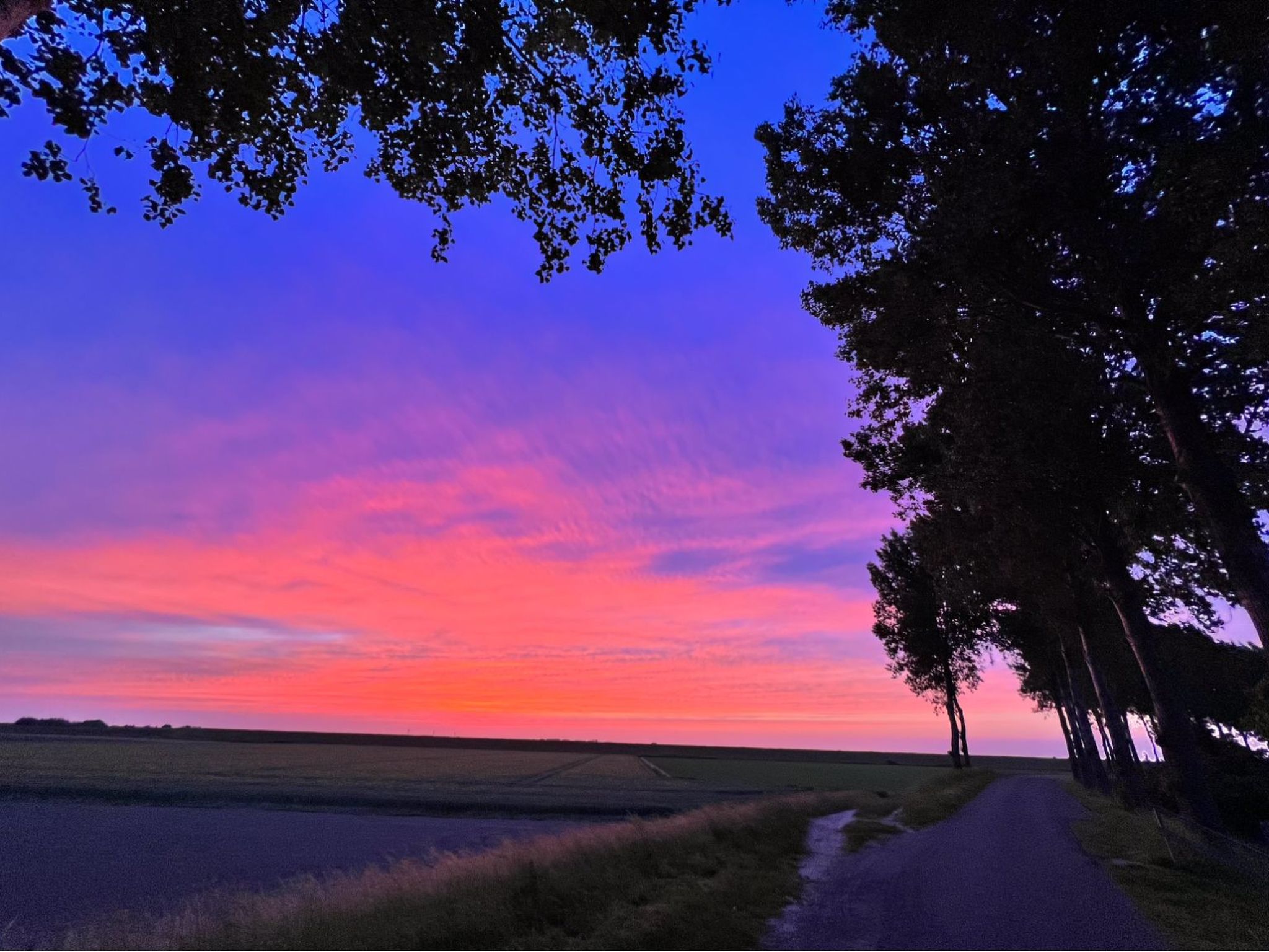 In Stavenisse mit gemütlicher Terrasse-Dedans