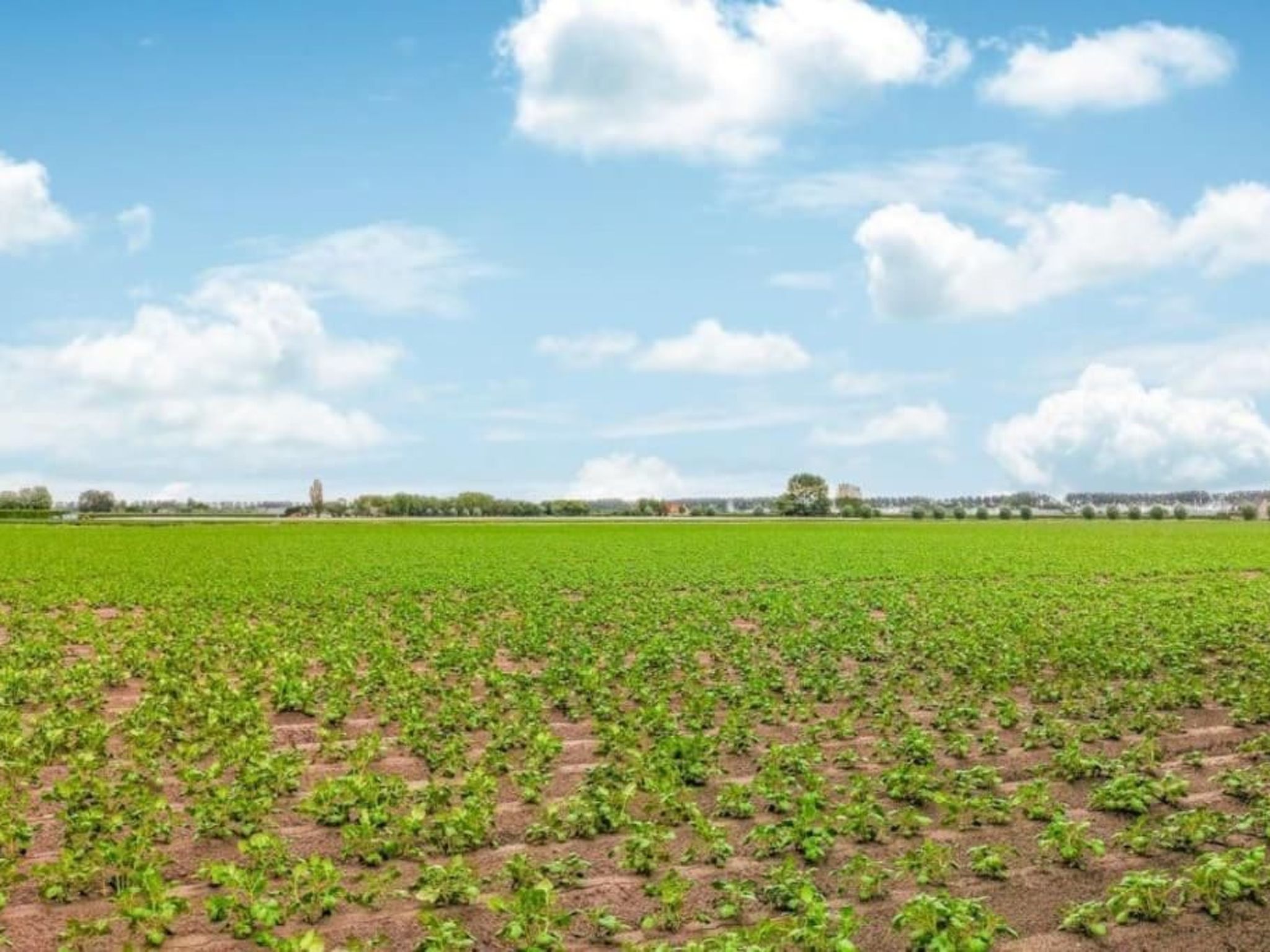 Zeeuwse Rust Stavenisse-Image-tags.info