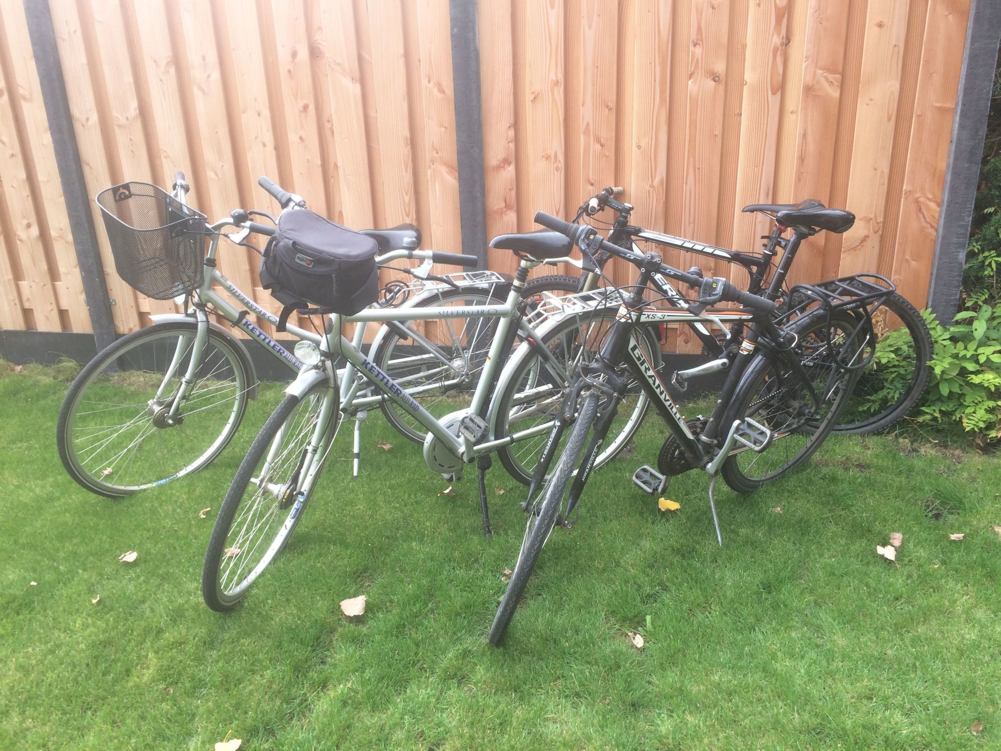 Luxus-Ferienhaus mit Sauna und Kamin-Dedans