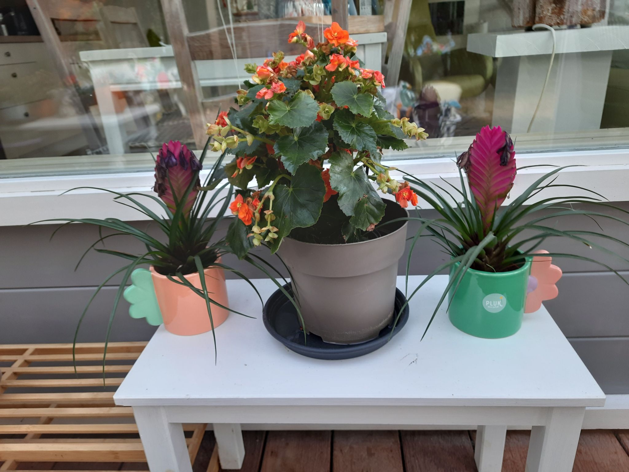 Schöne Familien-Ferienwohnung in Zeeland-Dedans