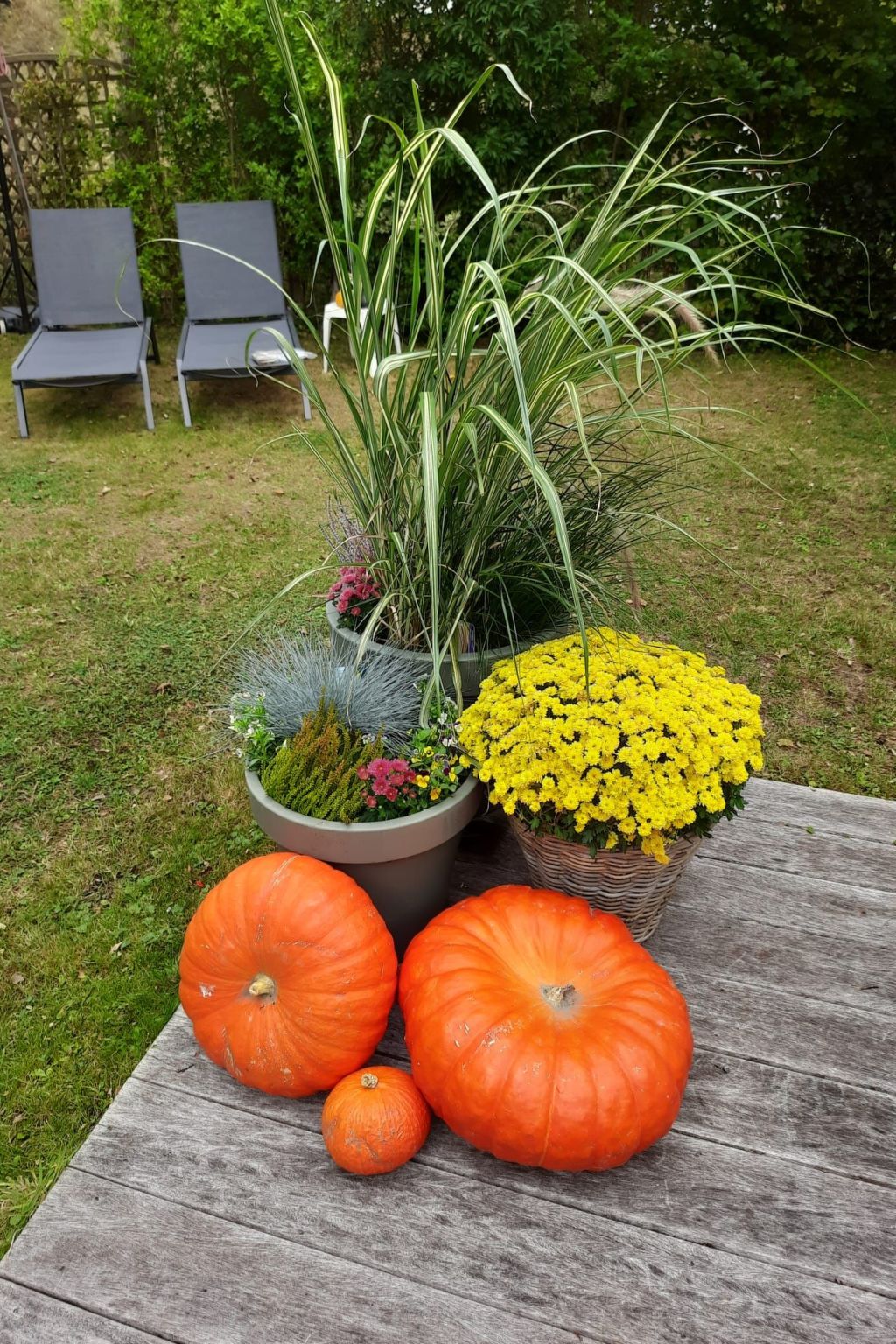 Schöne Familien-Ferienwohnung in Zeeland-Dedans