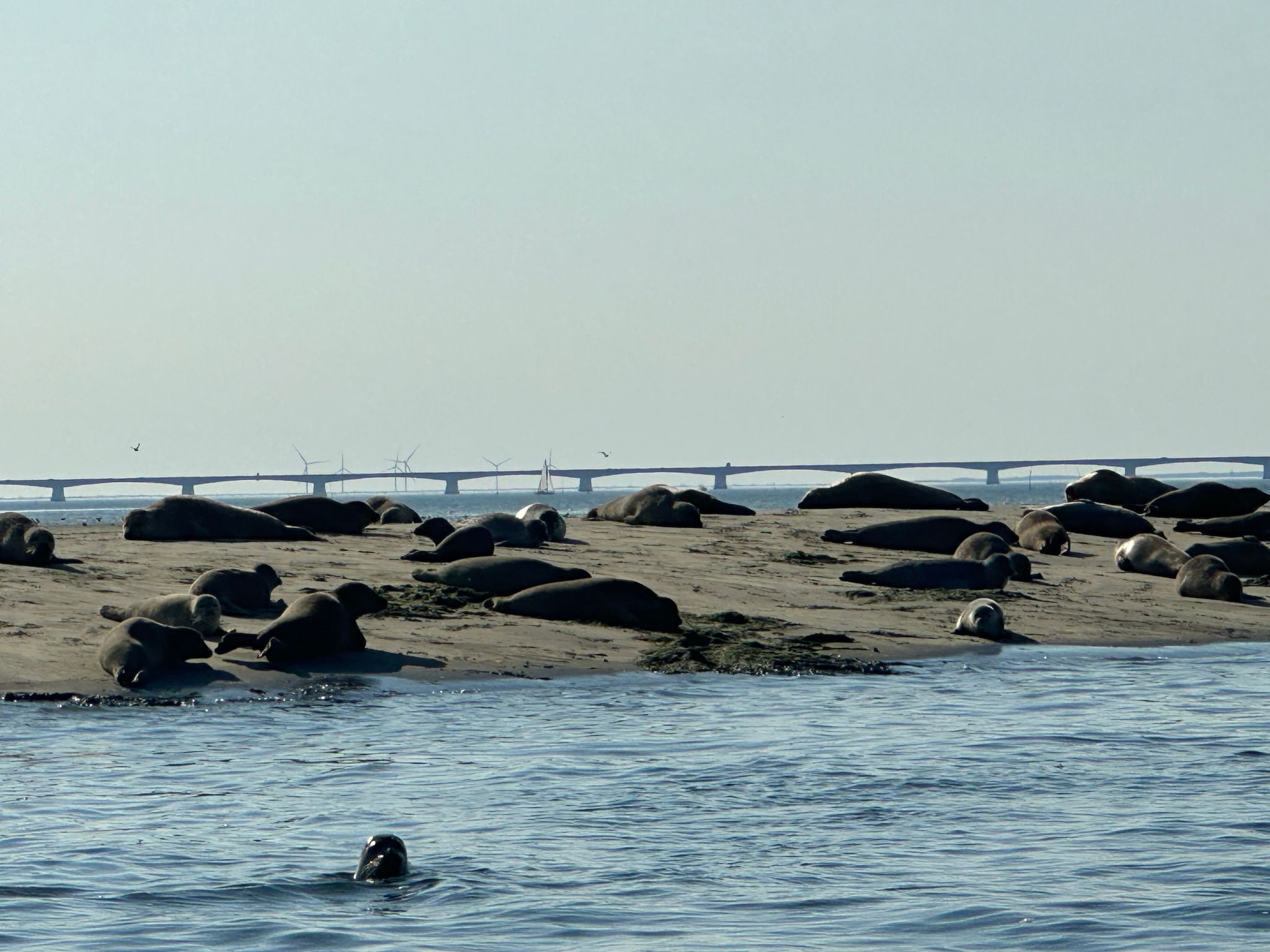 "Cottage" mit Wallbox