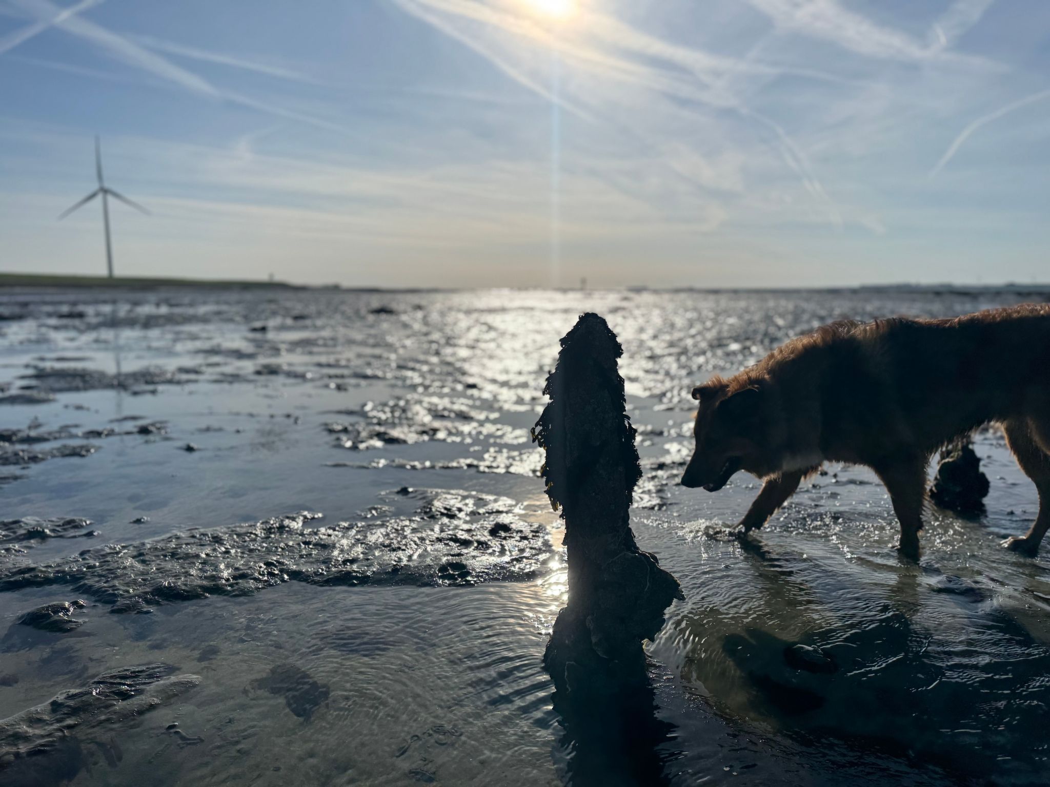 Einzigartiger Aufenthalt "The Moggershil" auf dem Bauernhof-Binnen