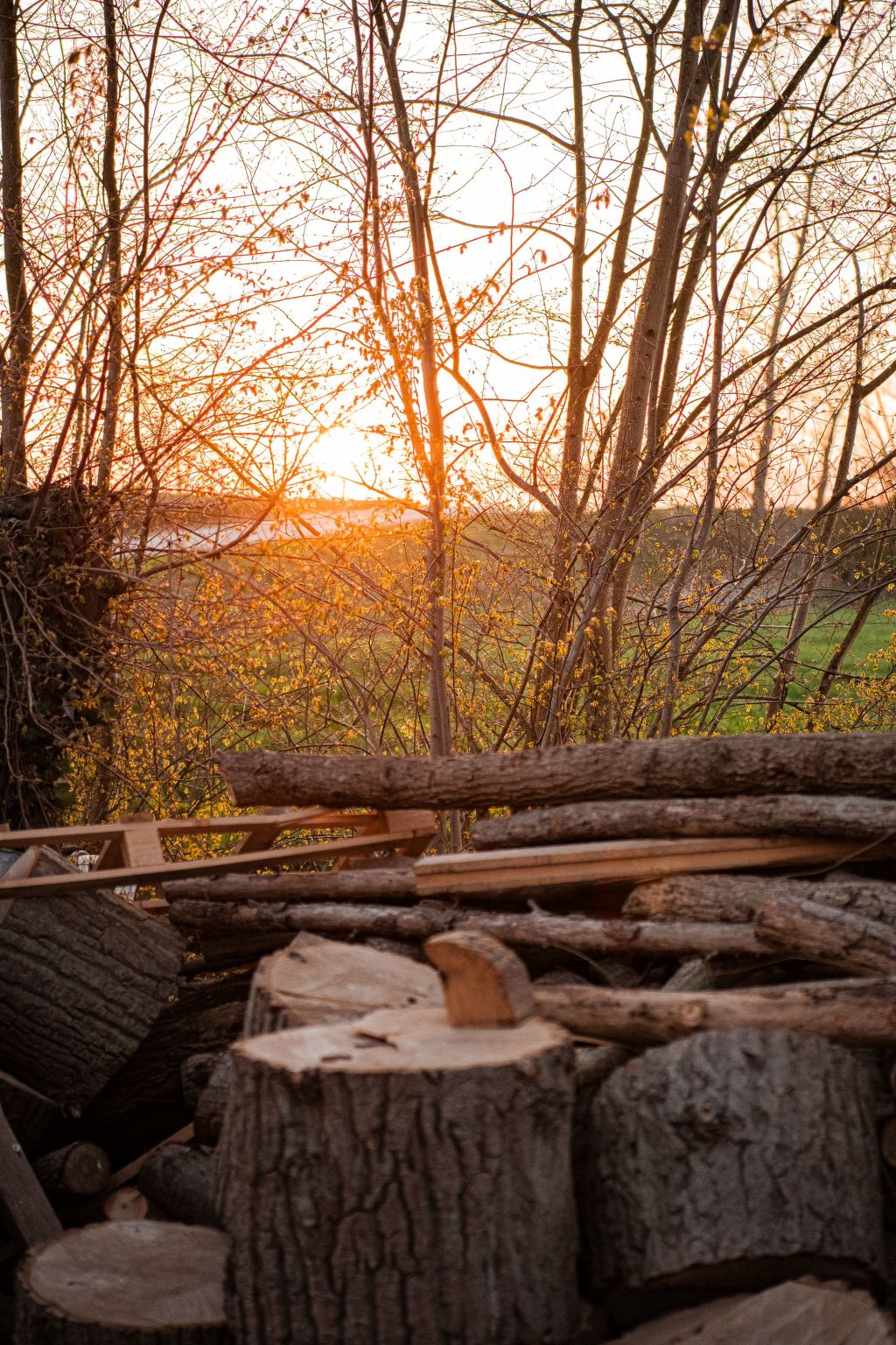 Einzigartiger Aufenthalt "The Moggershil" auf dem Bauernhof-Binnen