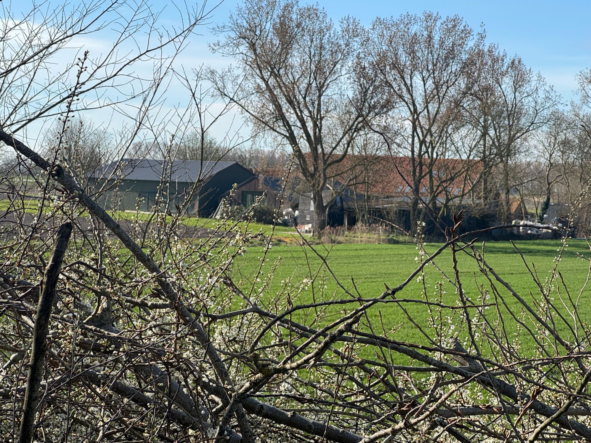 Luxus-App in der Scheune "Strandje groote Nol"-Binnen