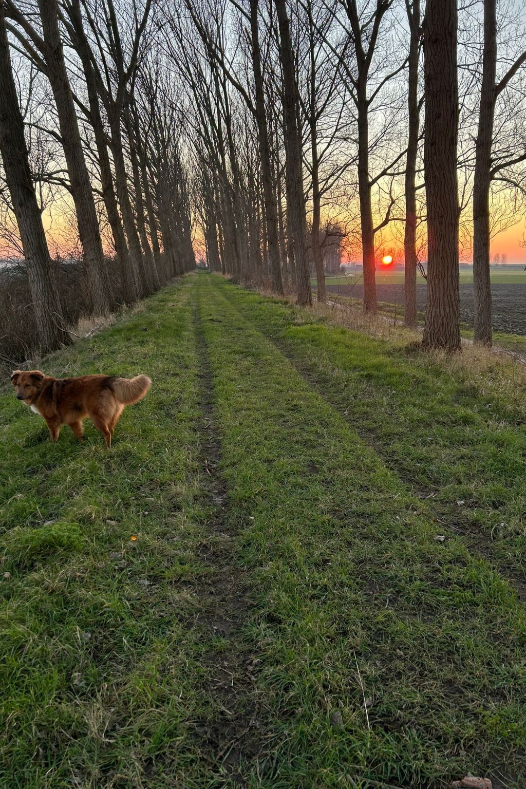 Luxus-App in der Scheune "Strandje groote Nol"-Binnen