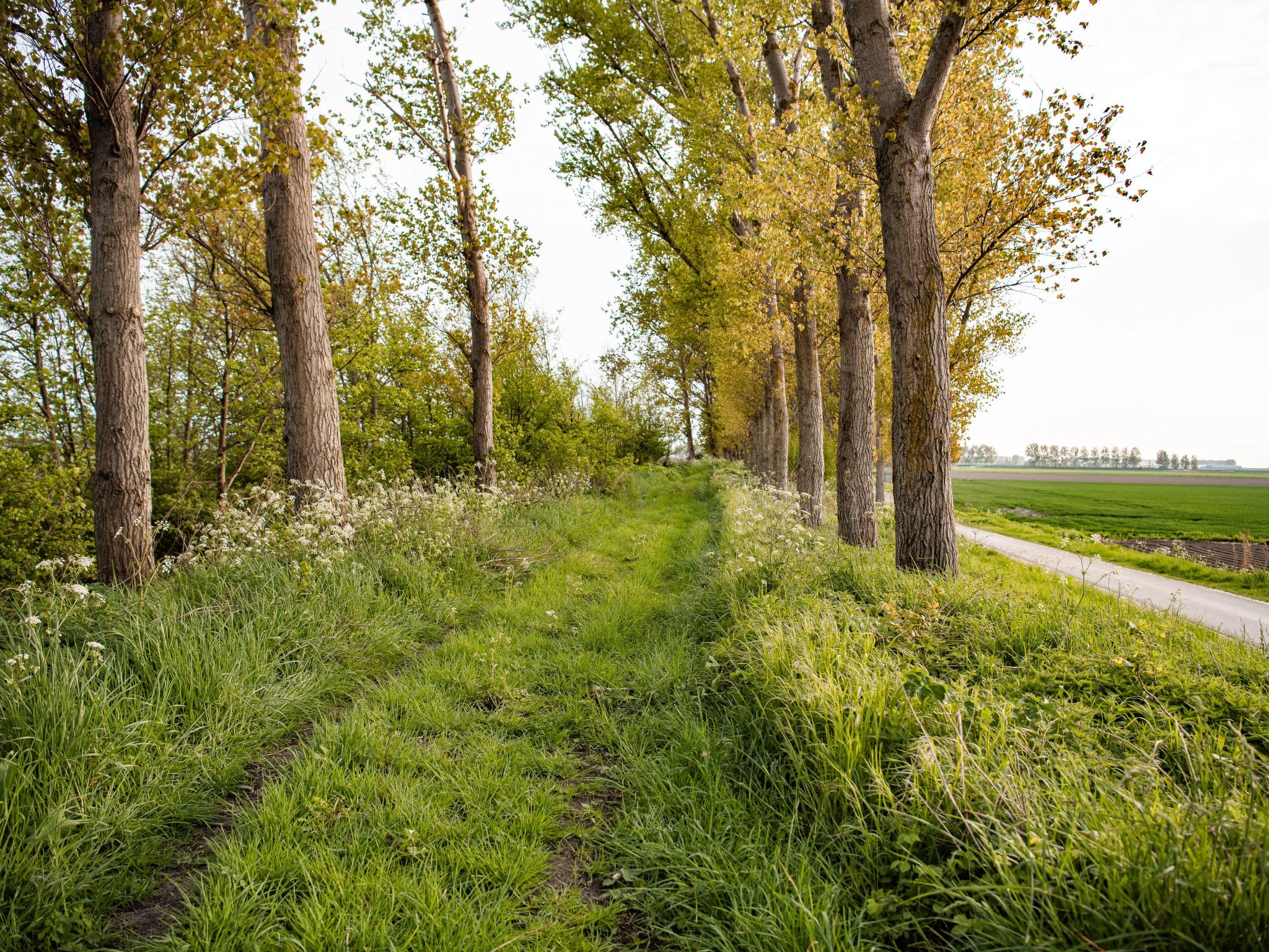 Luxus-App in der Scheune "Strandje groote Nol"-Binnen
